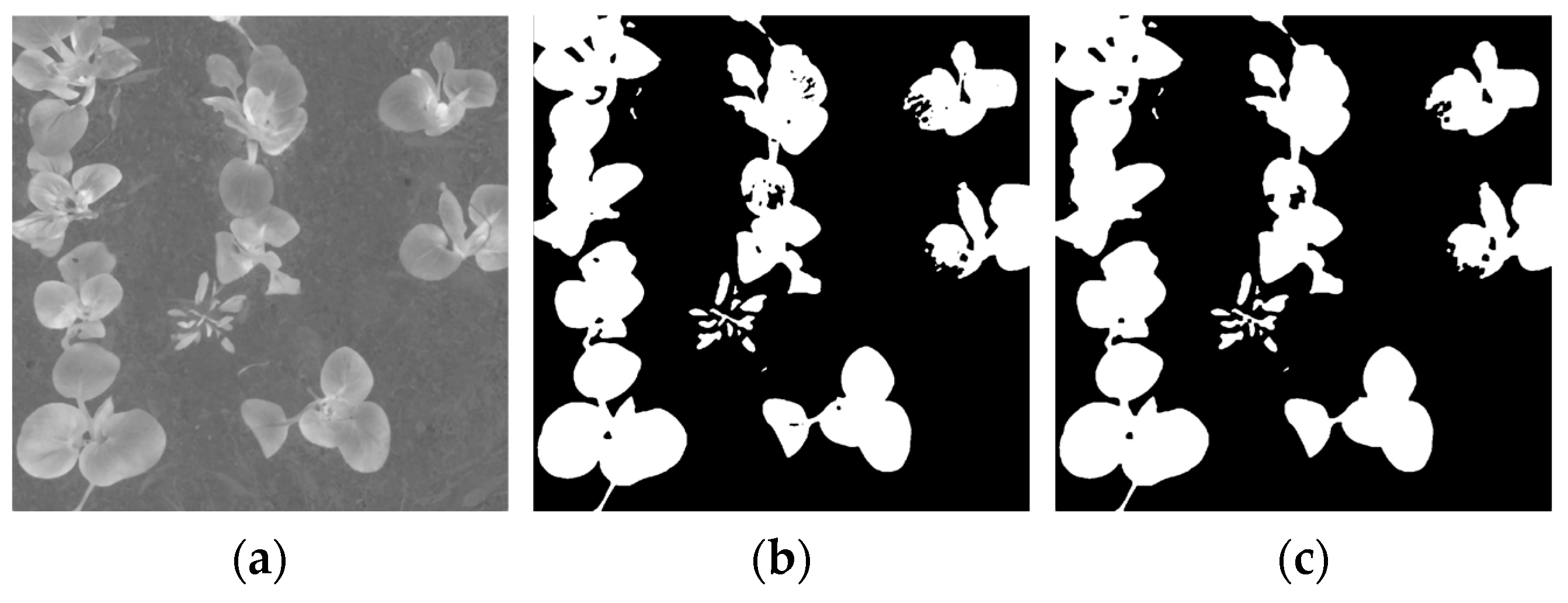 Agriculture 14 00856 g009