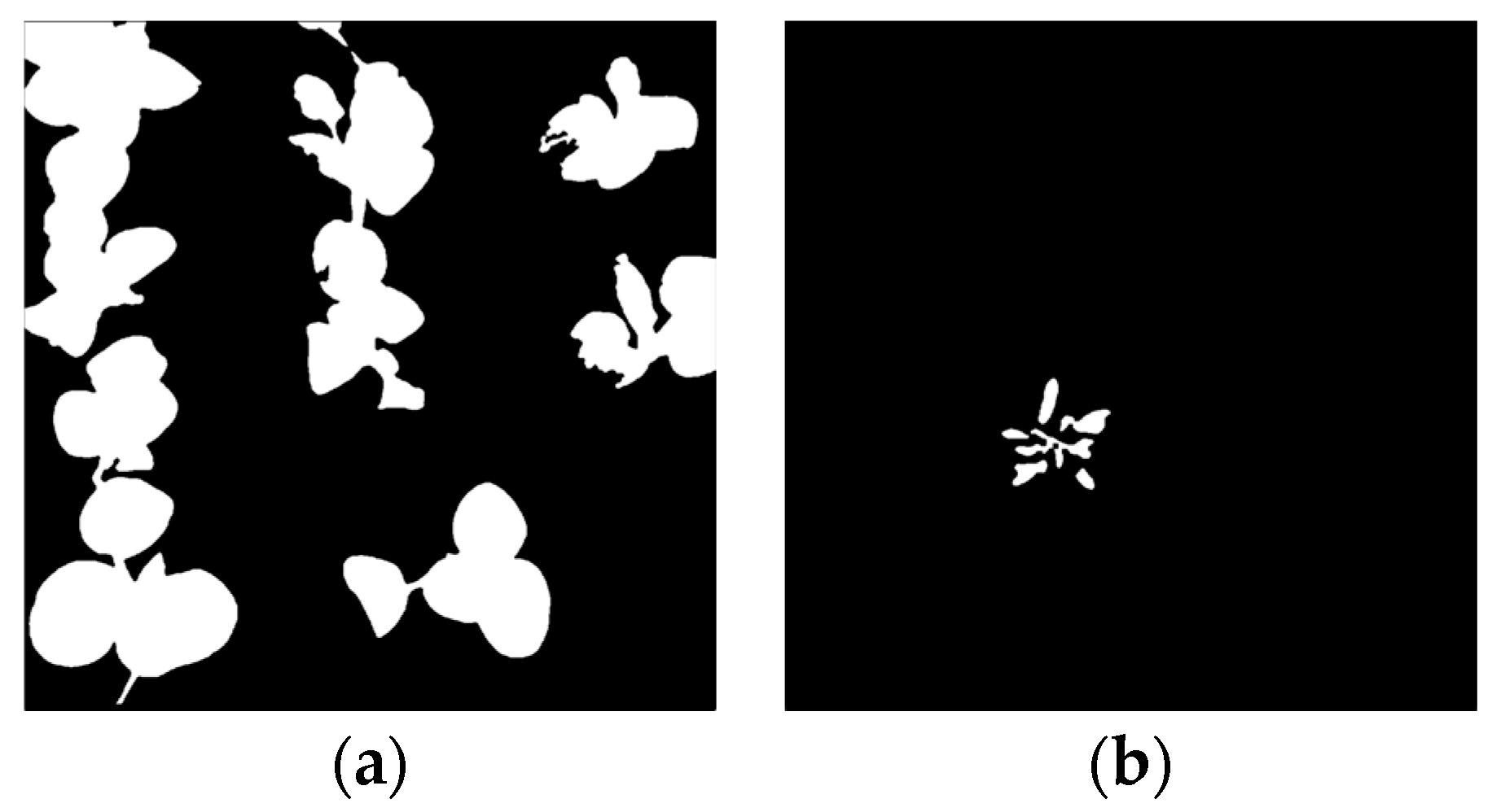 Agriculture 14 00856 g010