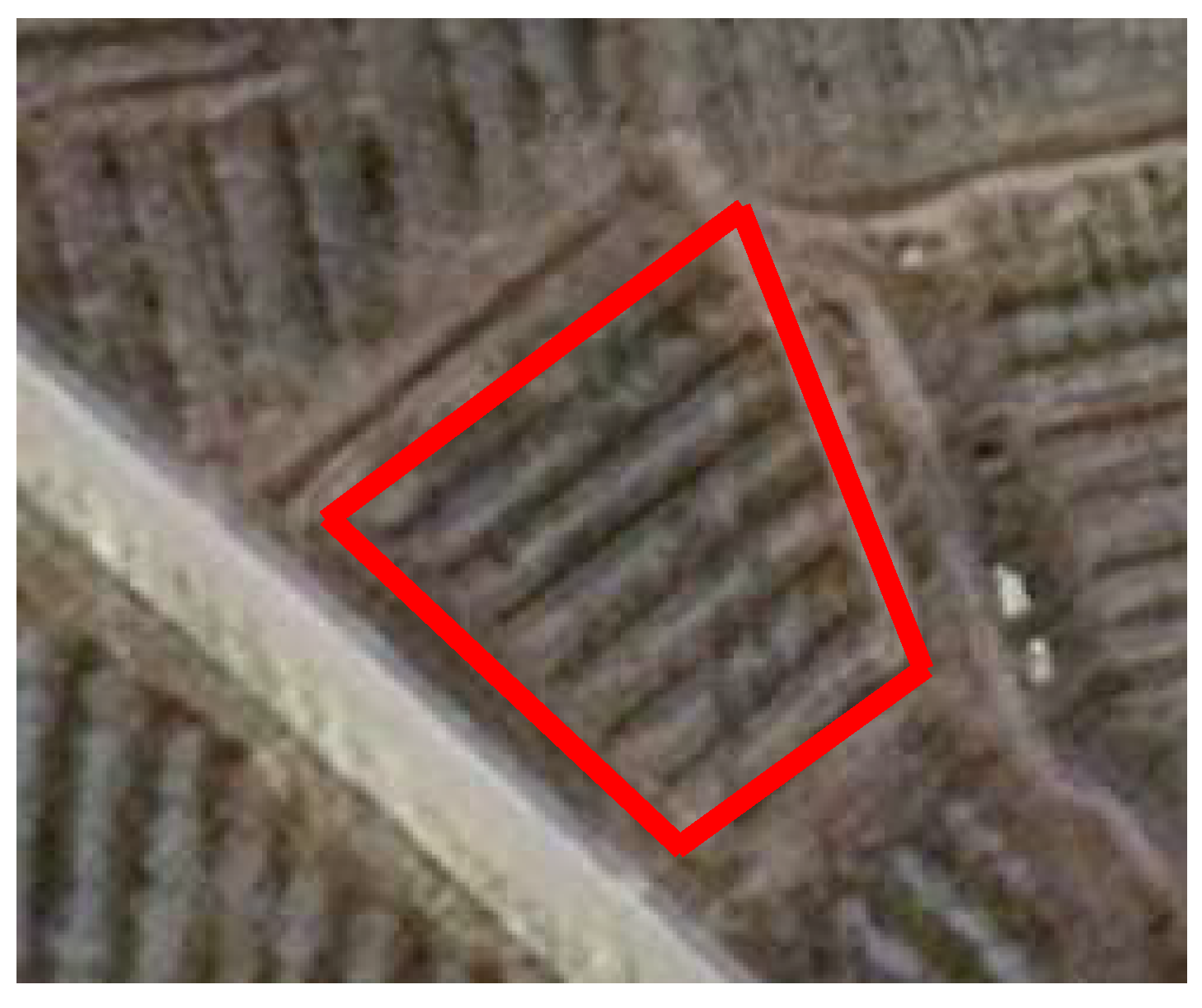 Agriculture 14 00865 g006