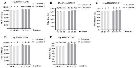Genetic Association of APOA5 and AKT3 Genes with Milk Production
