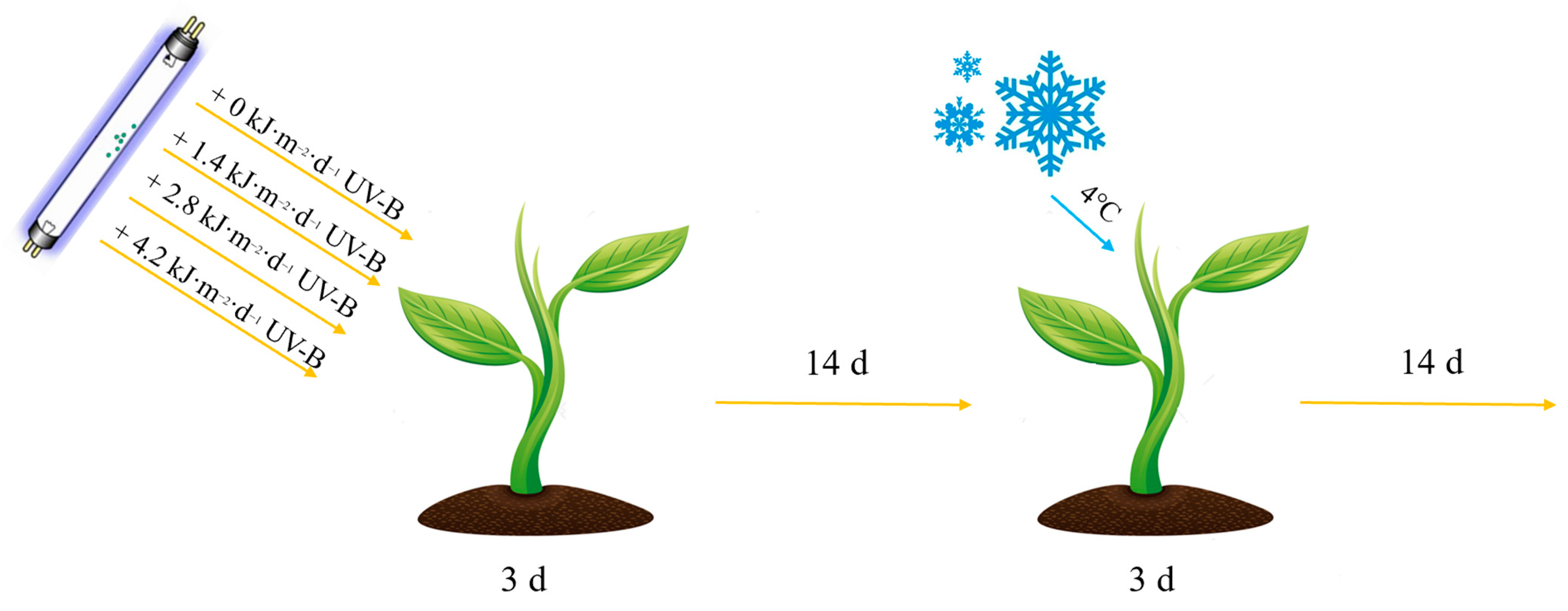 Agriculture 14 00878 g001