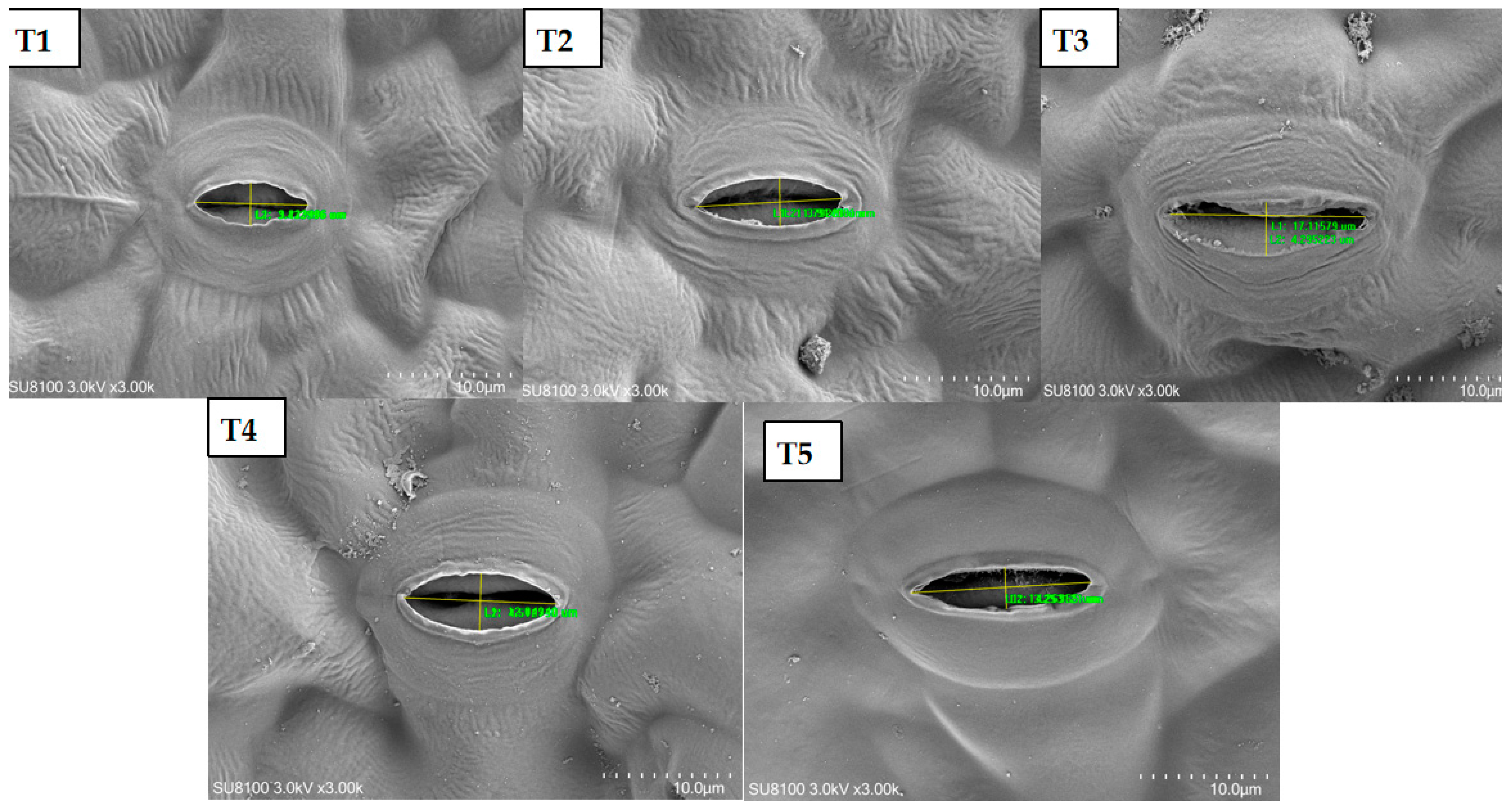 Agriculture 14 00886 g005