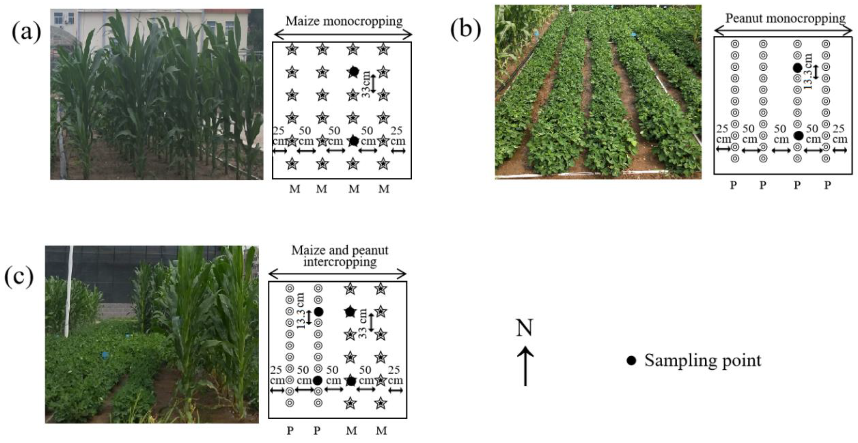 Agriculture 14 00893 g001