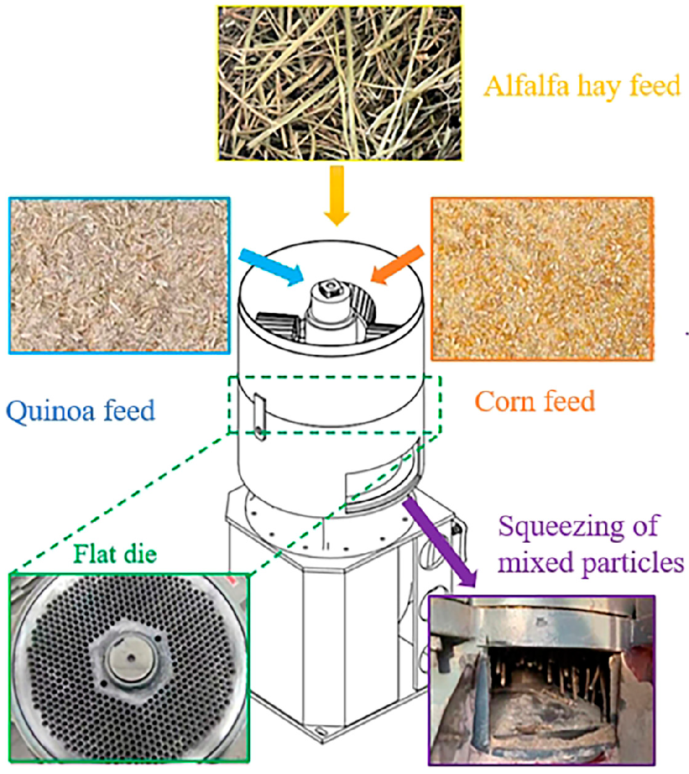 Agriculture 14 00894 g001