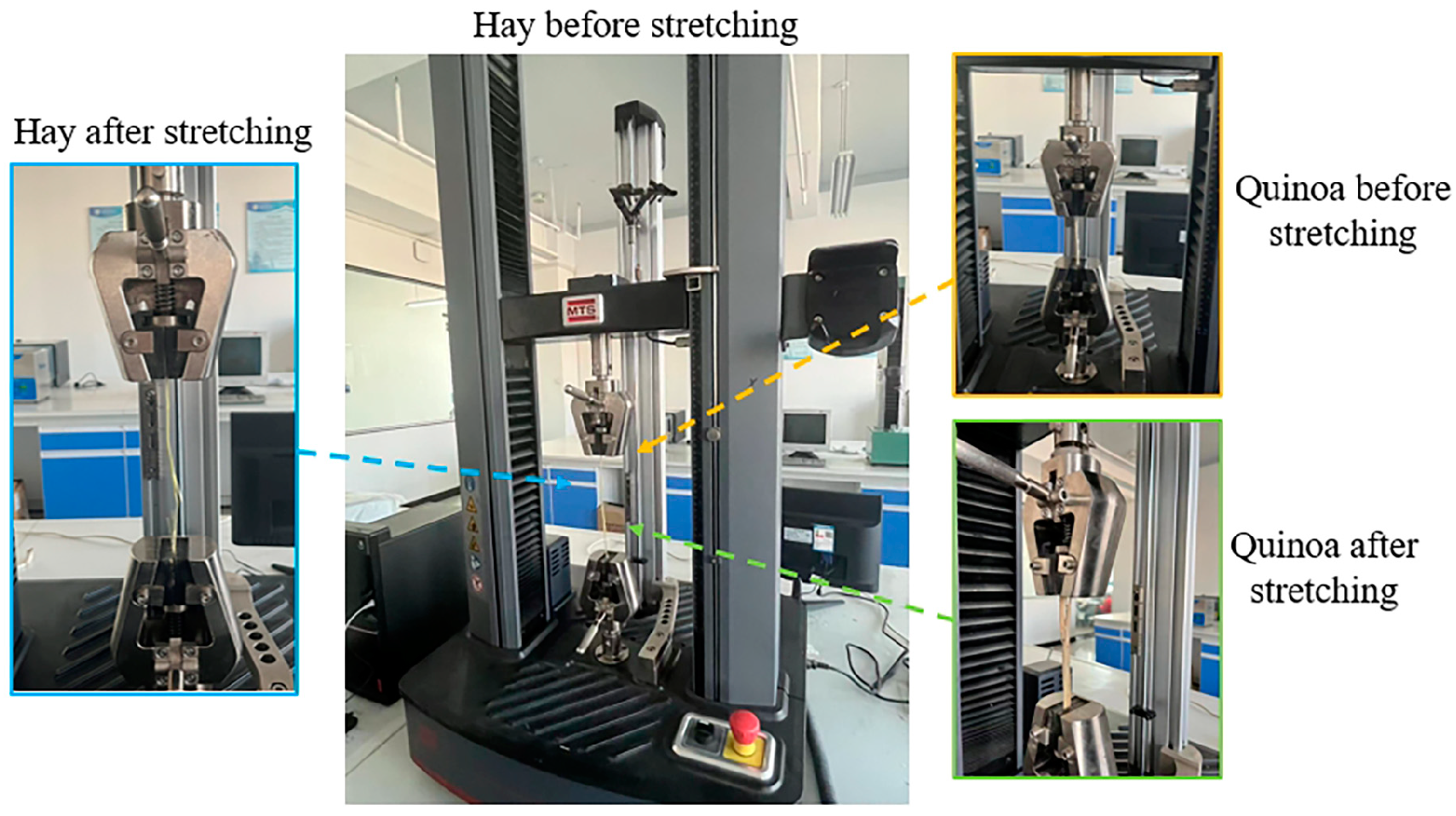 Agriculture 14 00894 g005