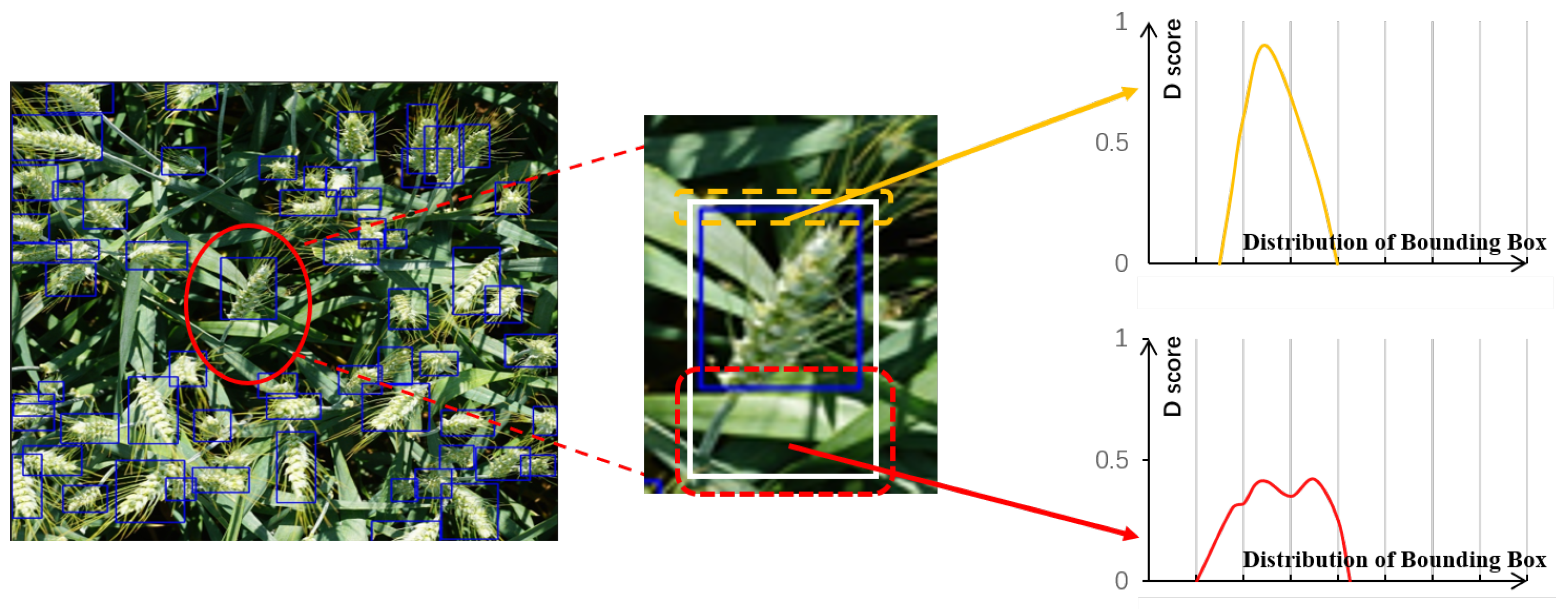 Agriculture 14 00899 g005