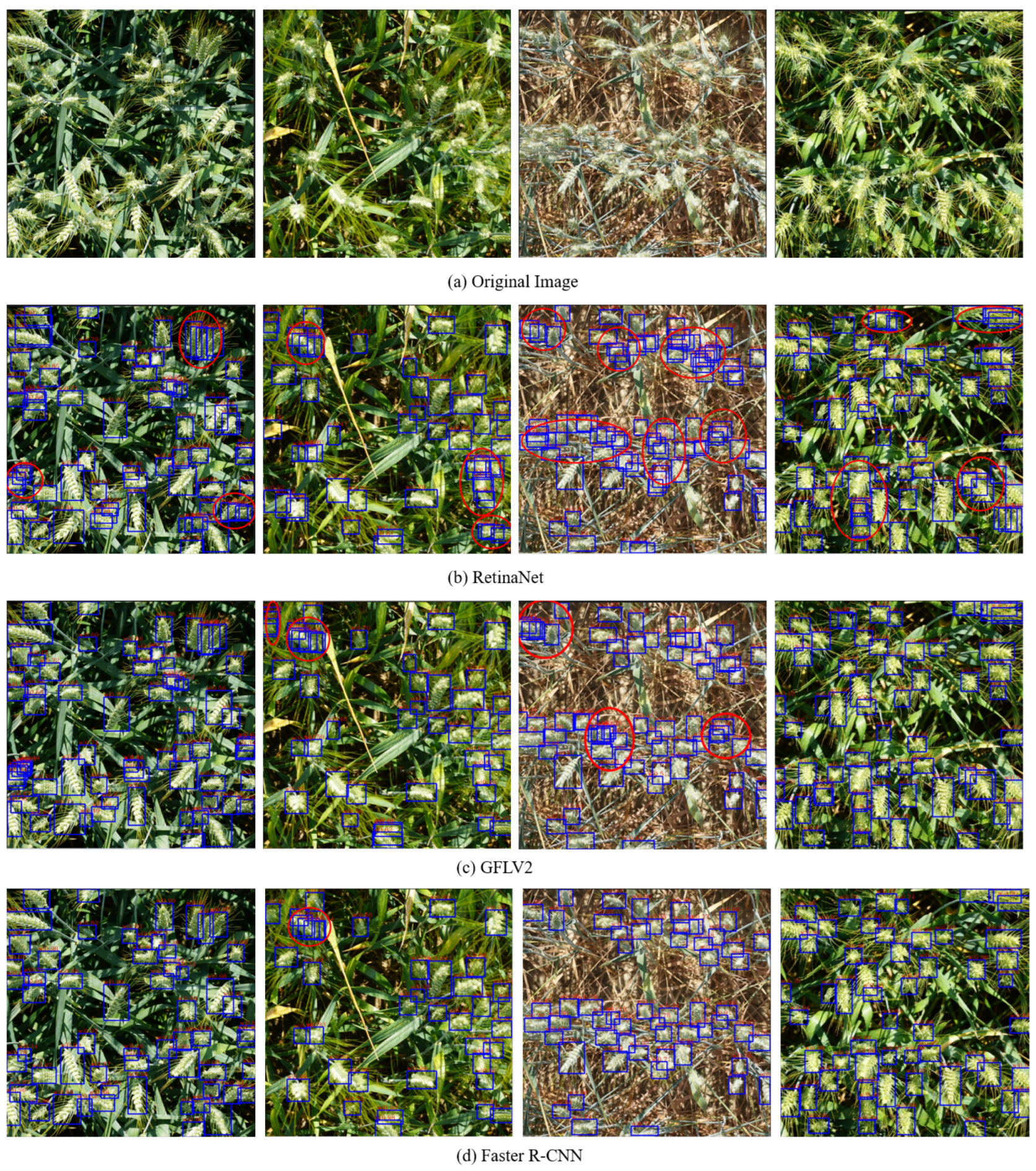 Agriculture 14 00899 g008a