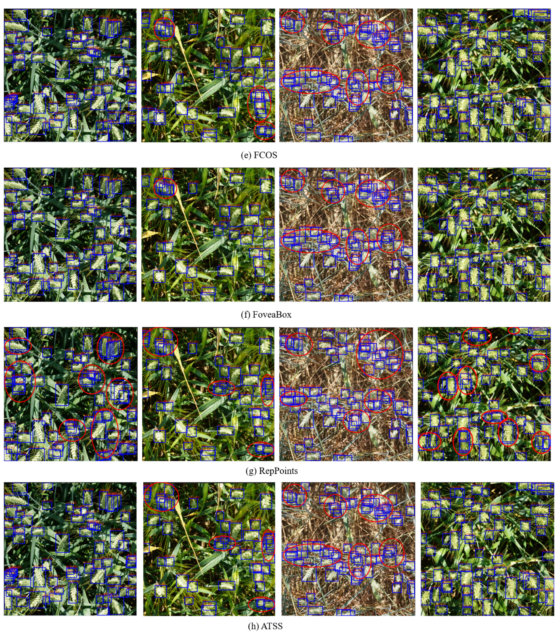 Agriculture 14 00899 g008b