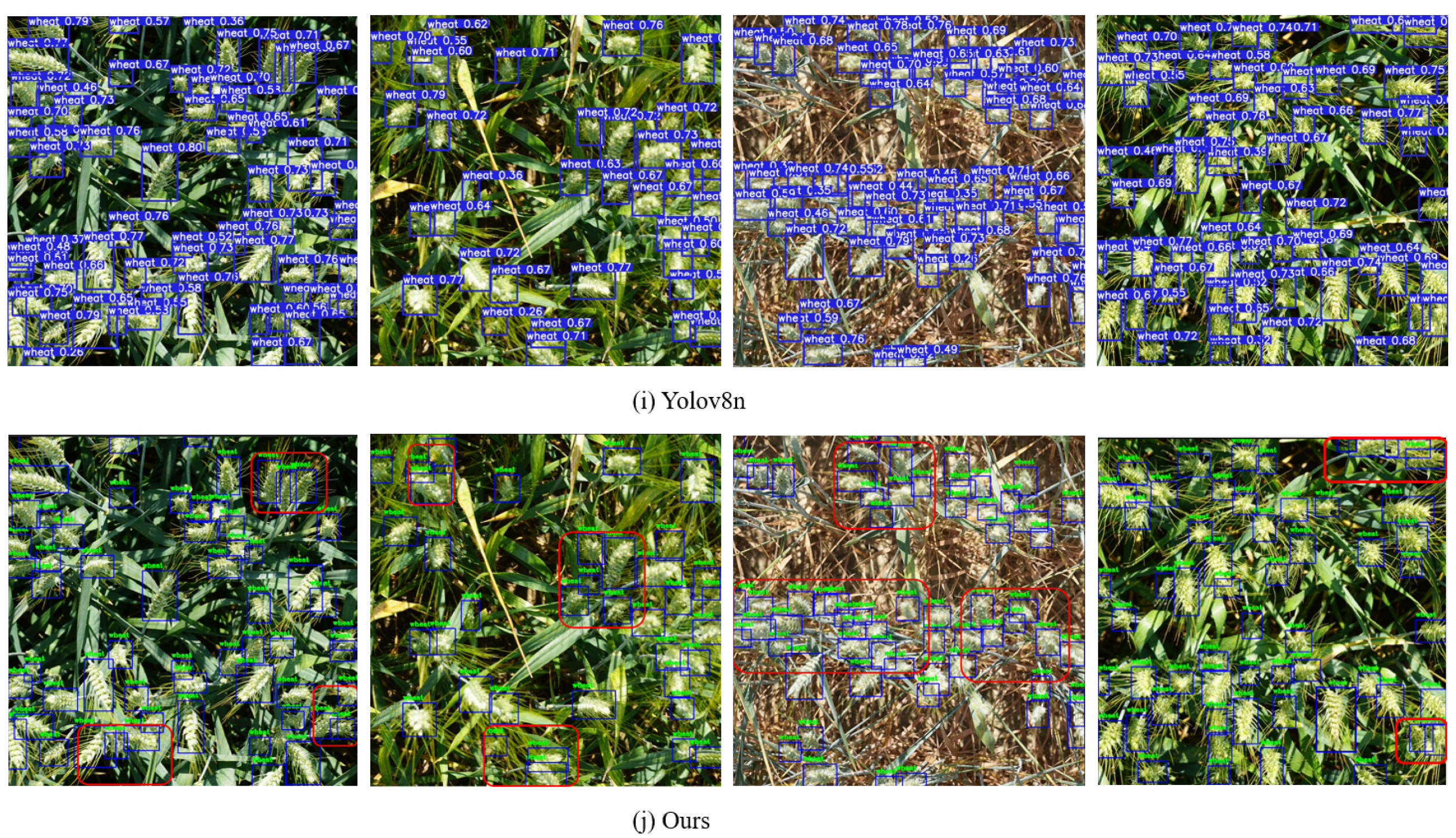 Agriculture 14 00899 g008c