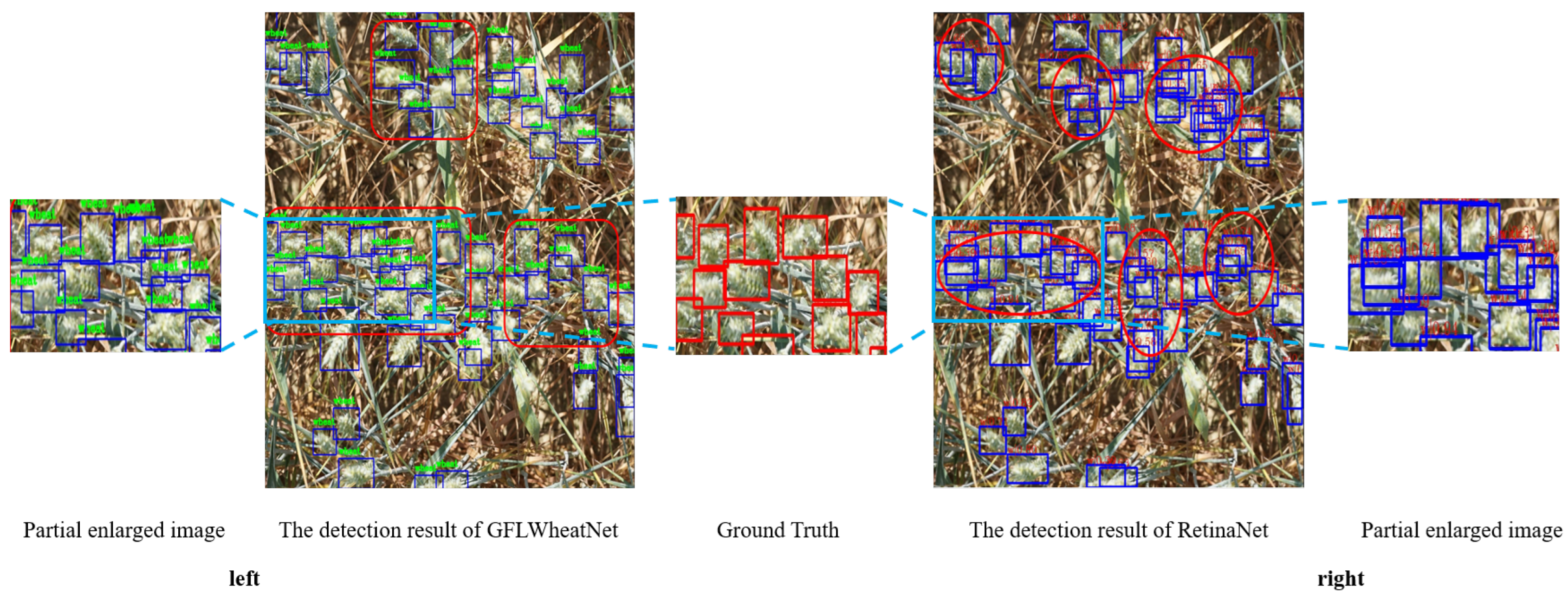 Agriculture 14 00899 g009