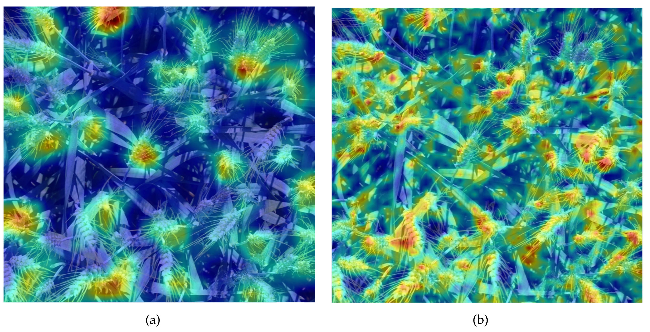 Agriculture 14 00899 g010
