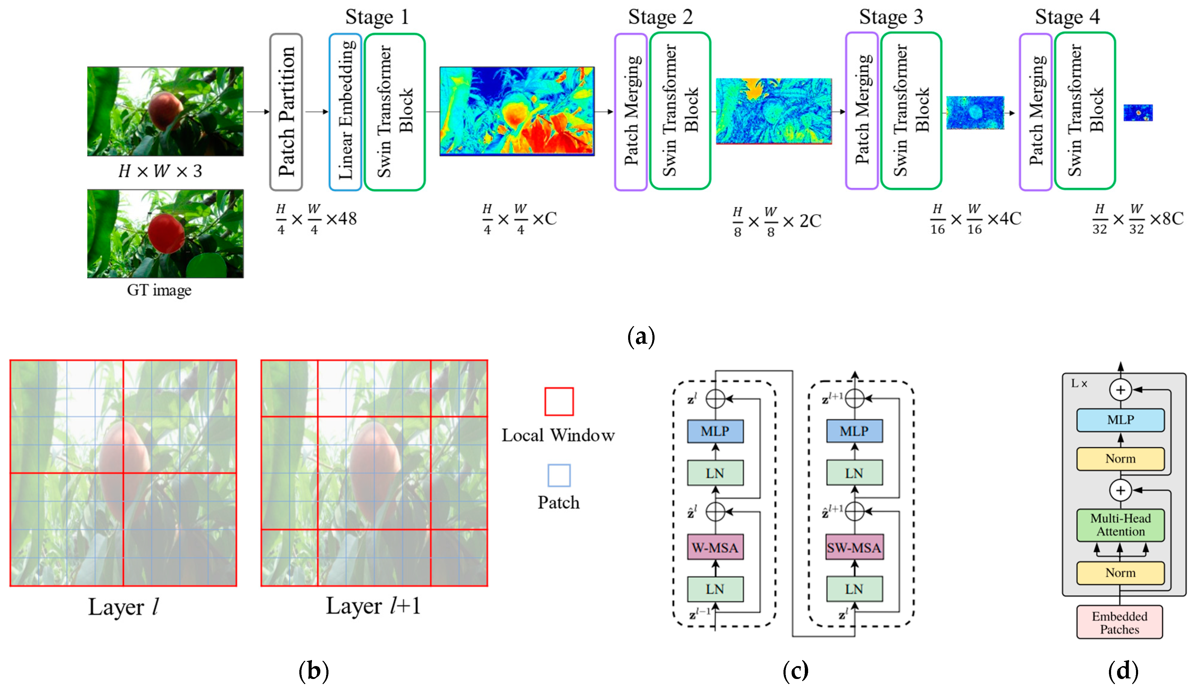 Agriculture 14 00903 g001