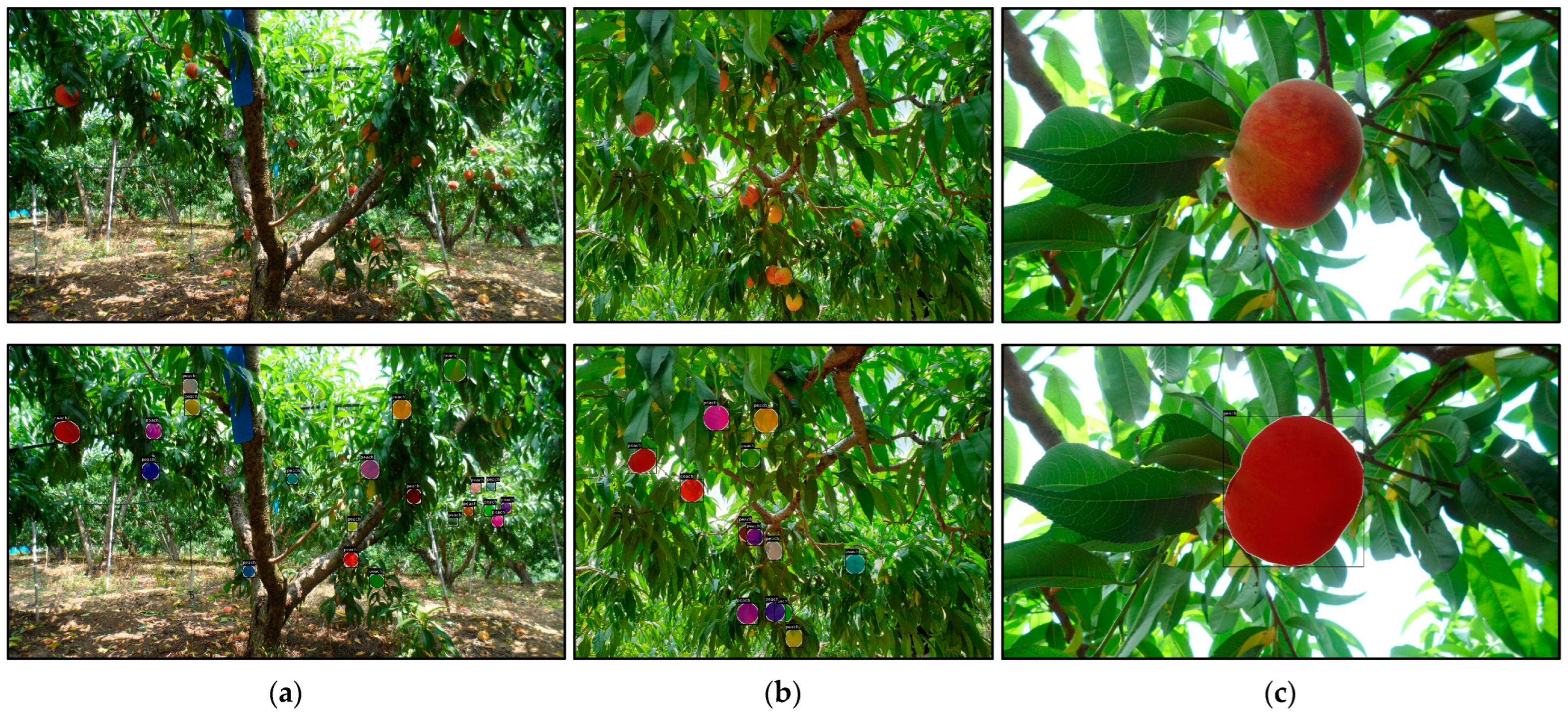 Agriculture 14 00903 g002