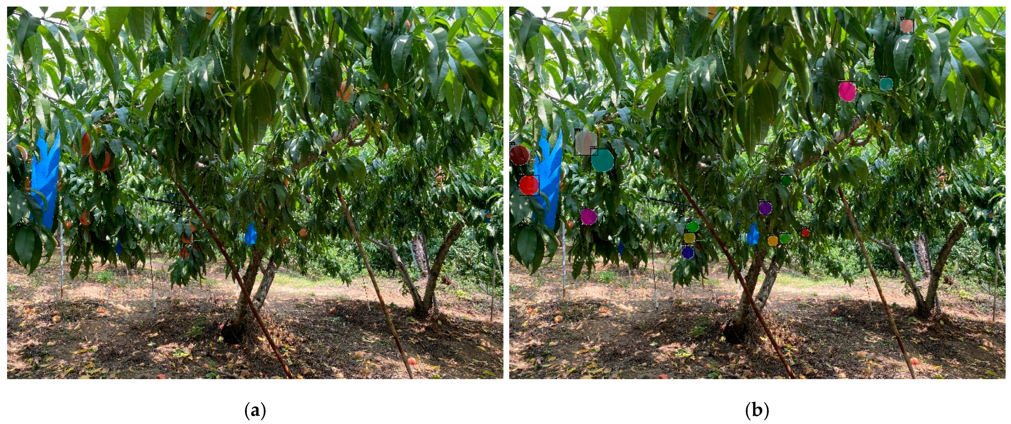 Agriculture 14 00903 g003