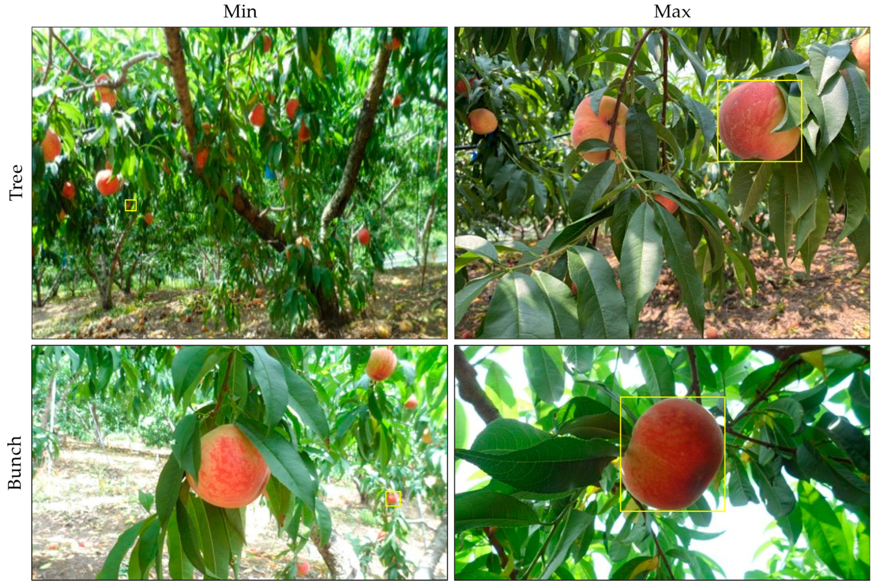 Agriculture 14 00903 g005