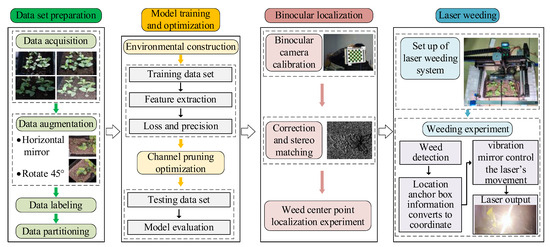 YOLOv7-Based Intelligent Weed Detection and Laser Weeding System