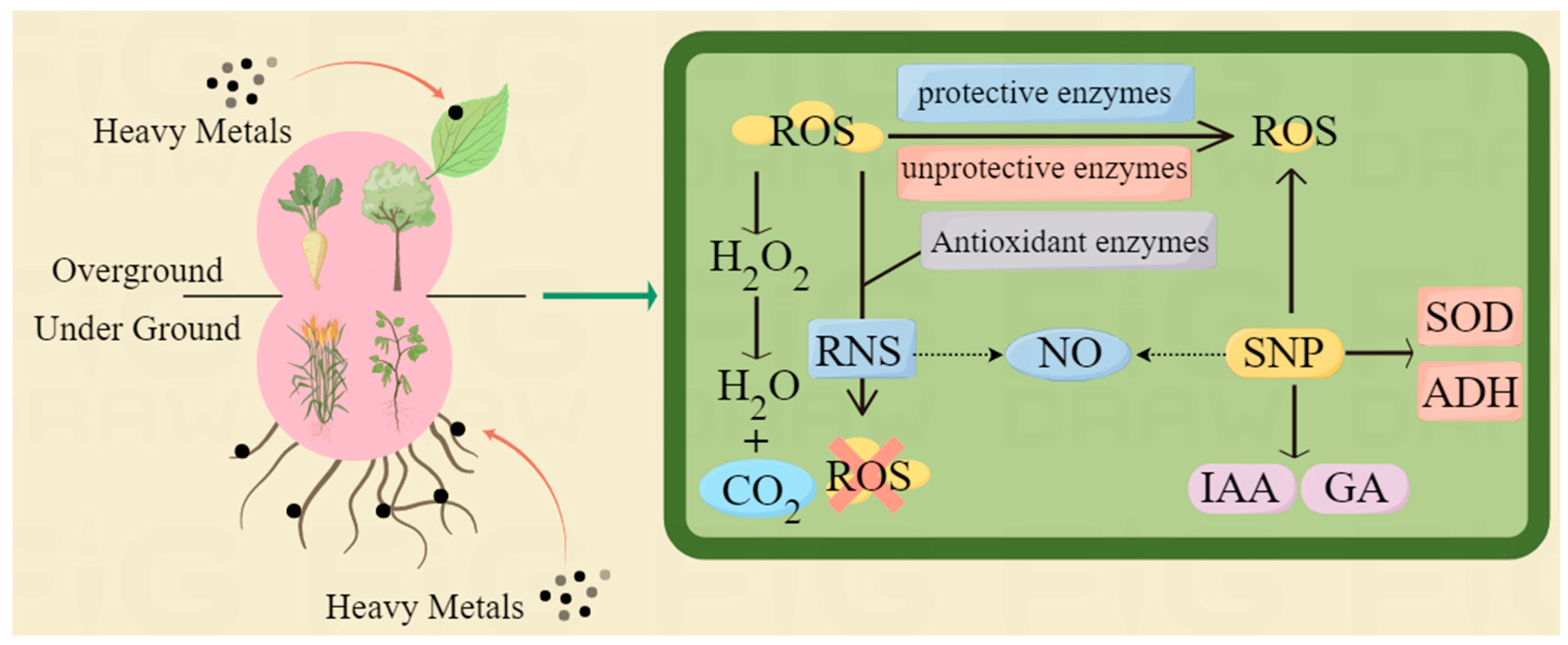 Agriculture 14 00914 g001