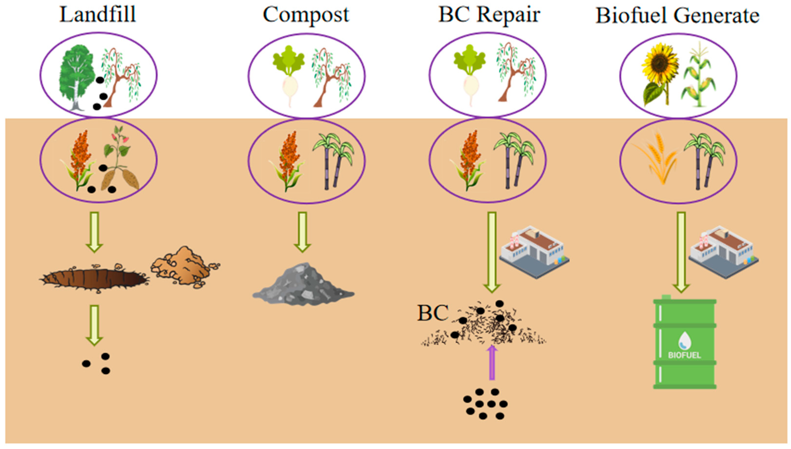 Agriculture 14 00914 g003