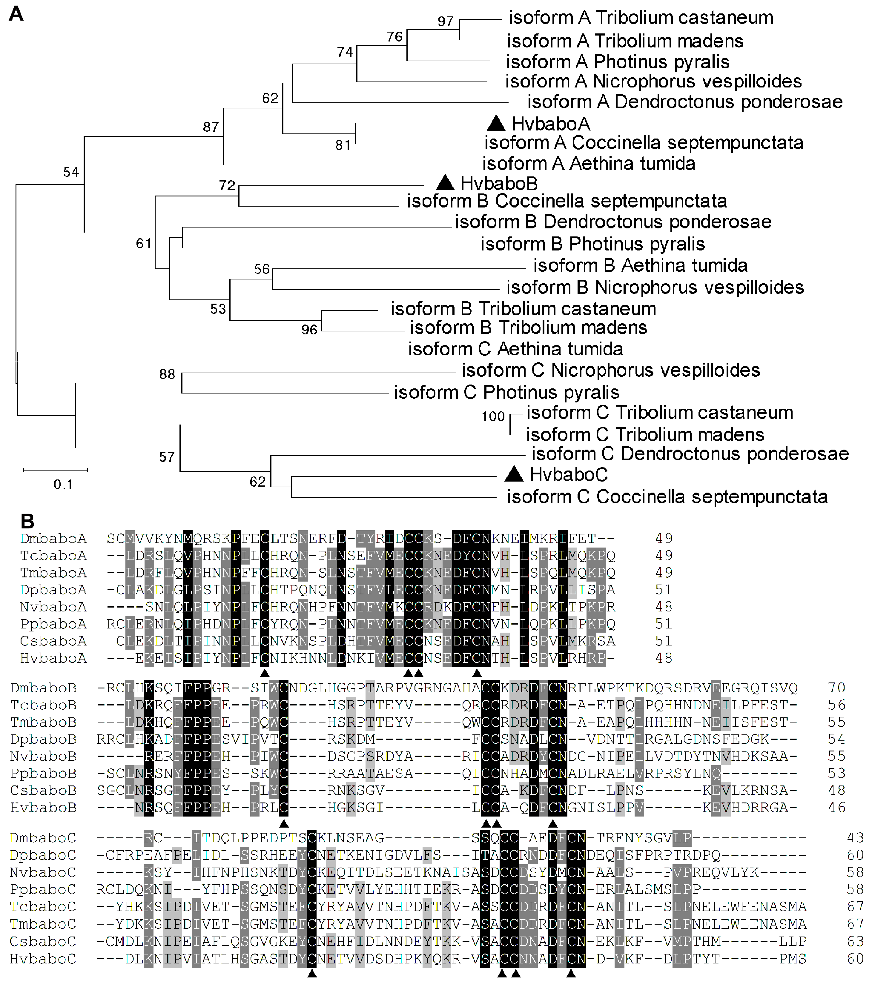 Agriculture 14 00915 g002 Agriculture 14 00915 g002