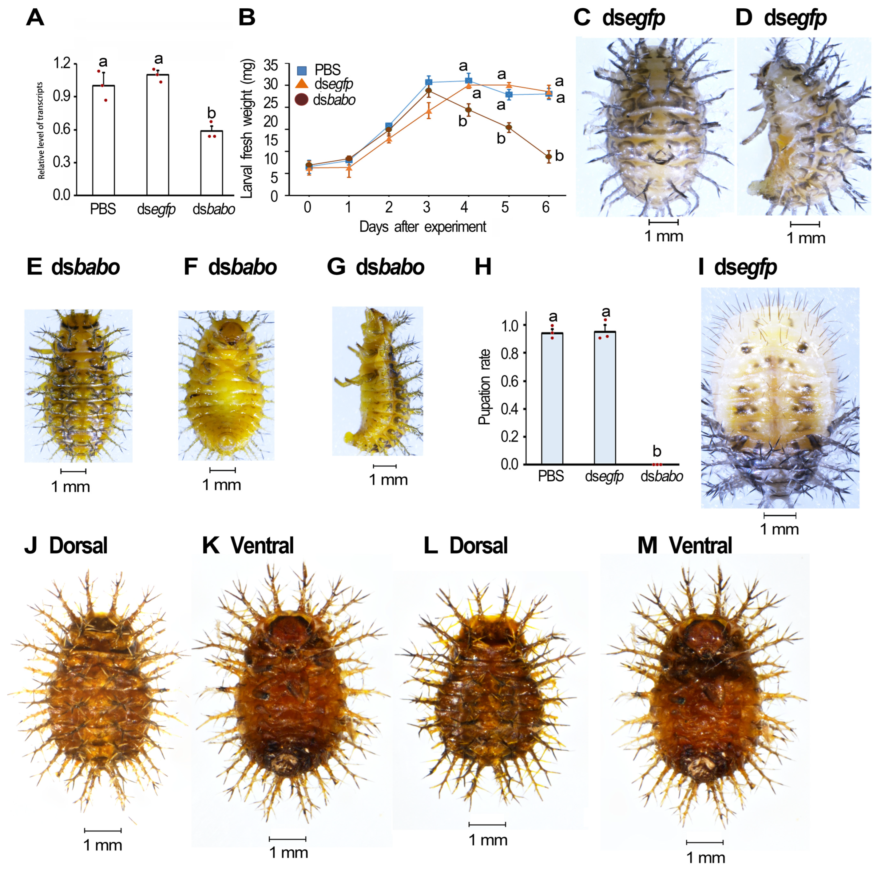 Agriculture 14 00915 g004 Agriculture 14 00915 g004