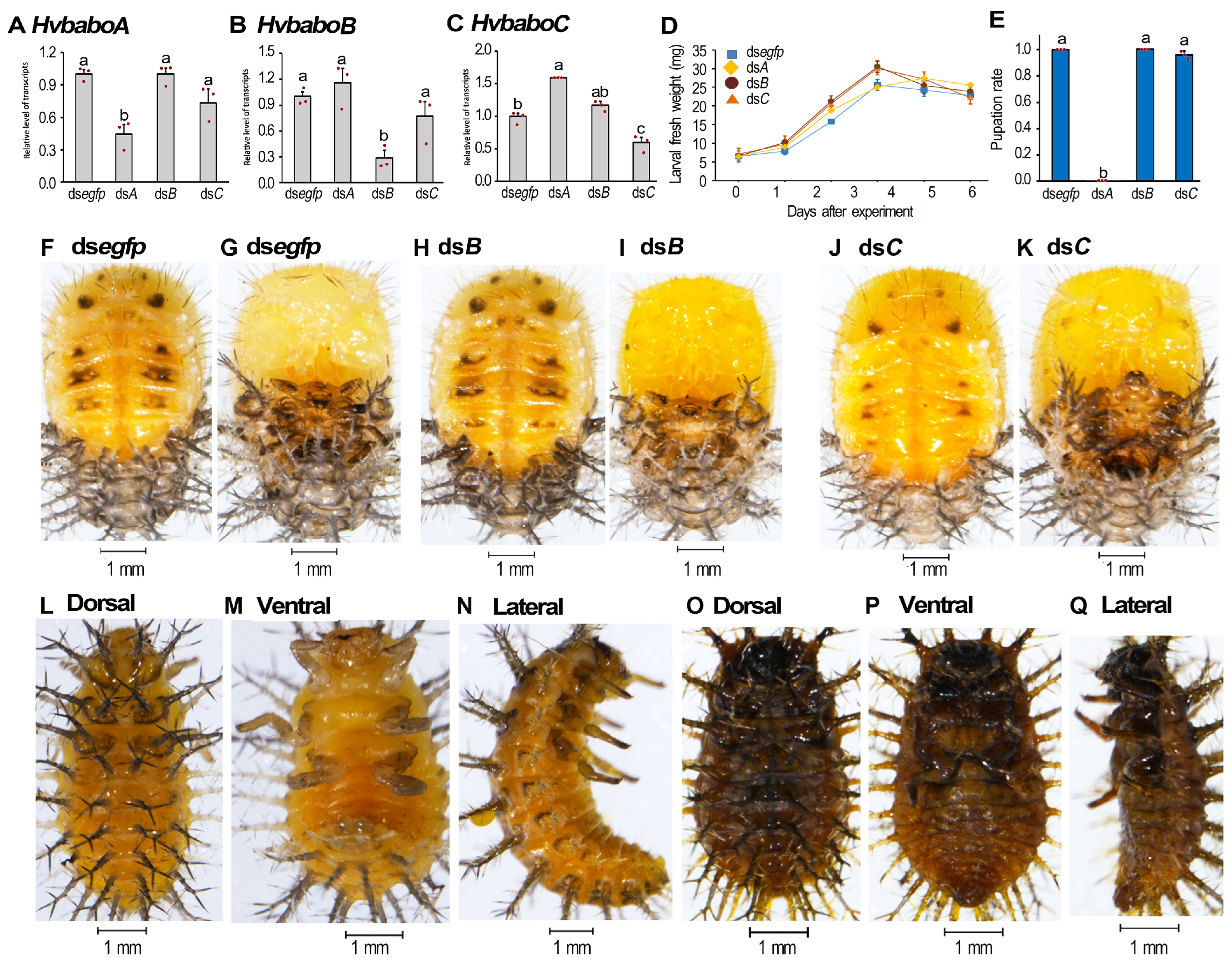 Agriculture 14 00915 g005 Agriculture 14 00915 g005