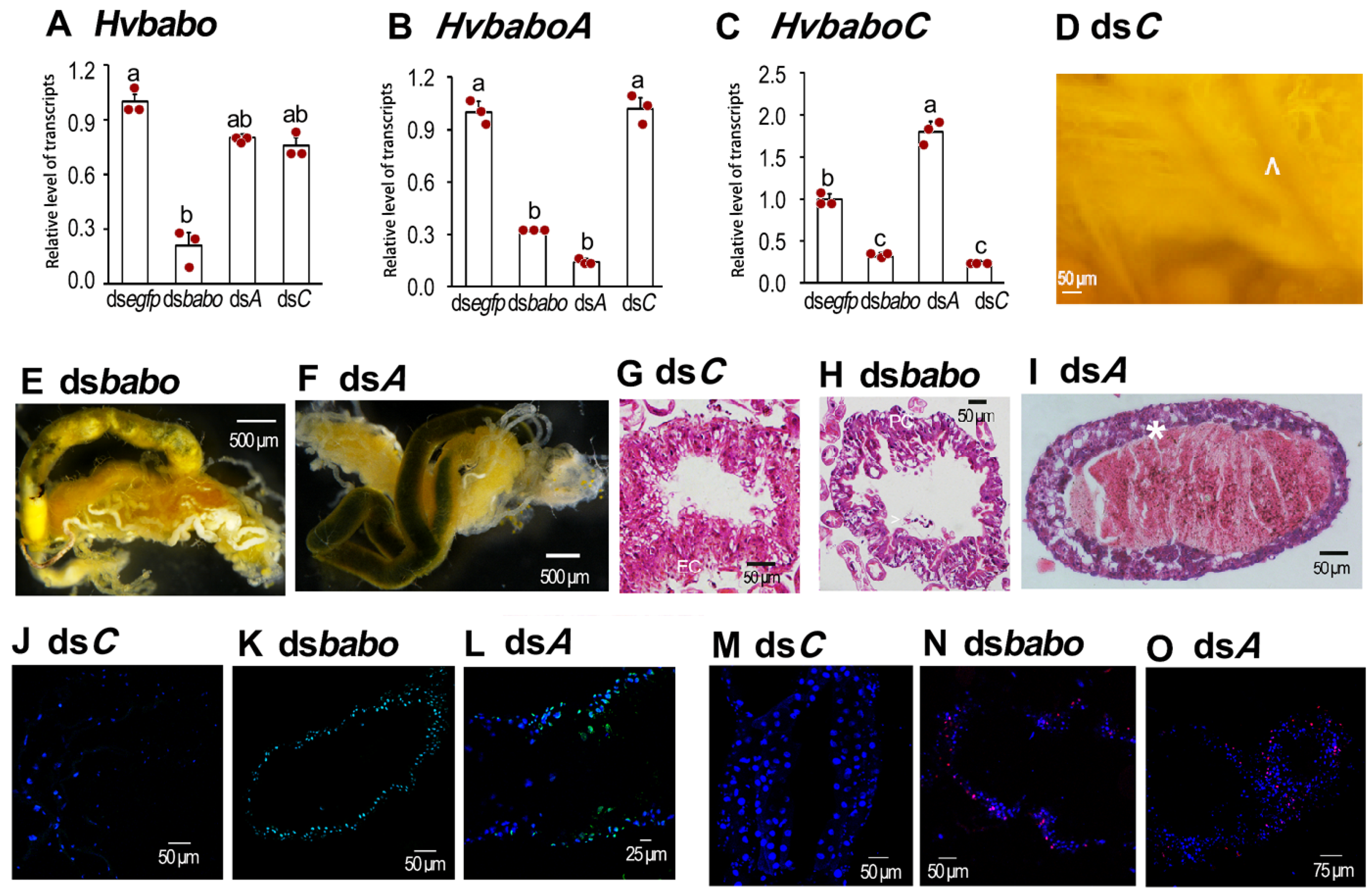Agriculture 14 00915 g006 Agriculture 14 00915 g006