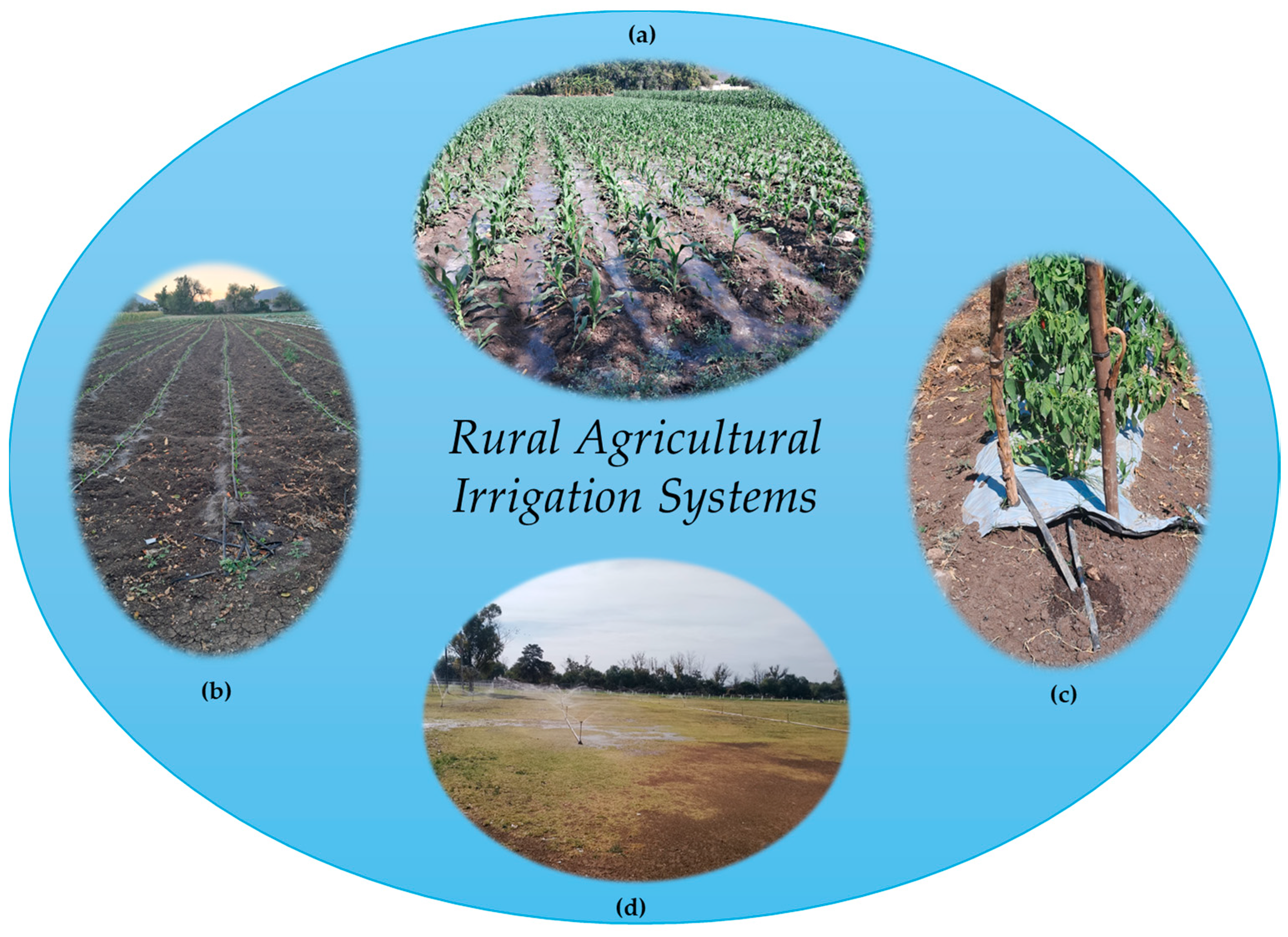 Agriculture 14 00925 g001