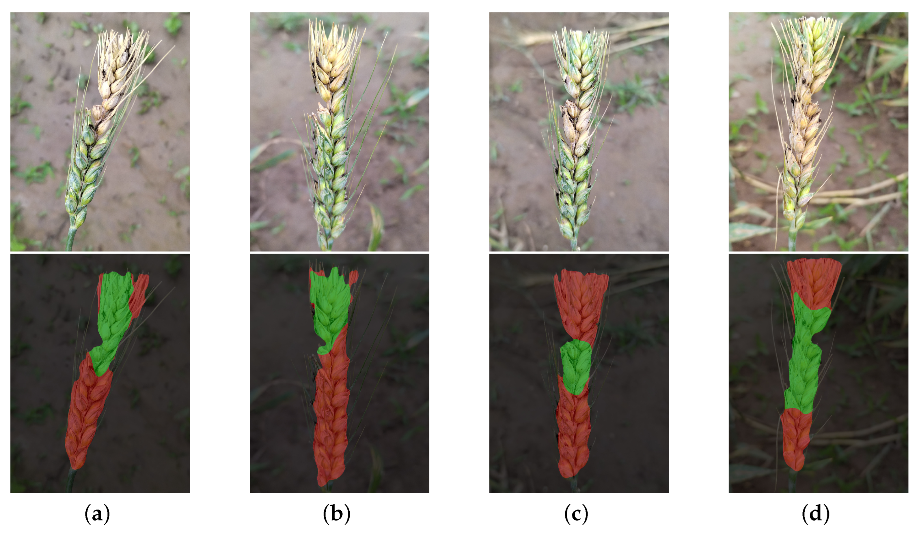 Agriculture 14 00938 g014