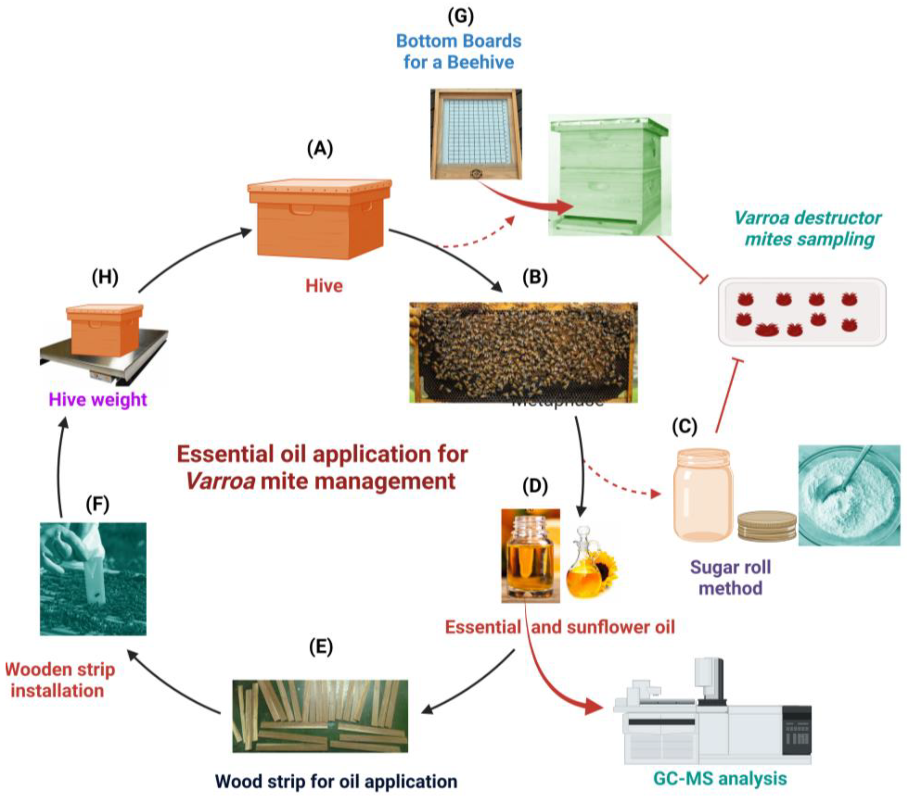 Agriculture 14 00940 g001
