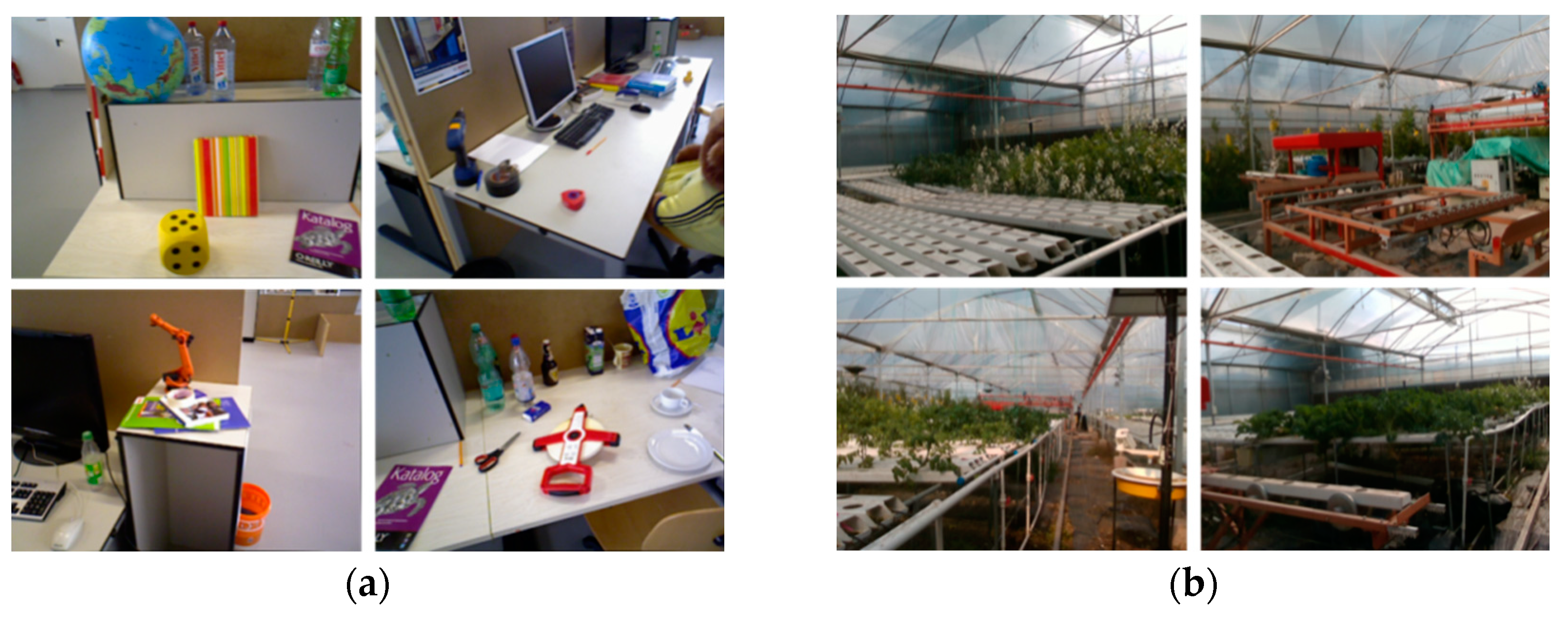 Agriculture 14 00949 g004