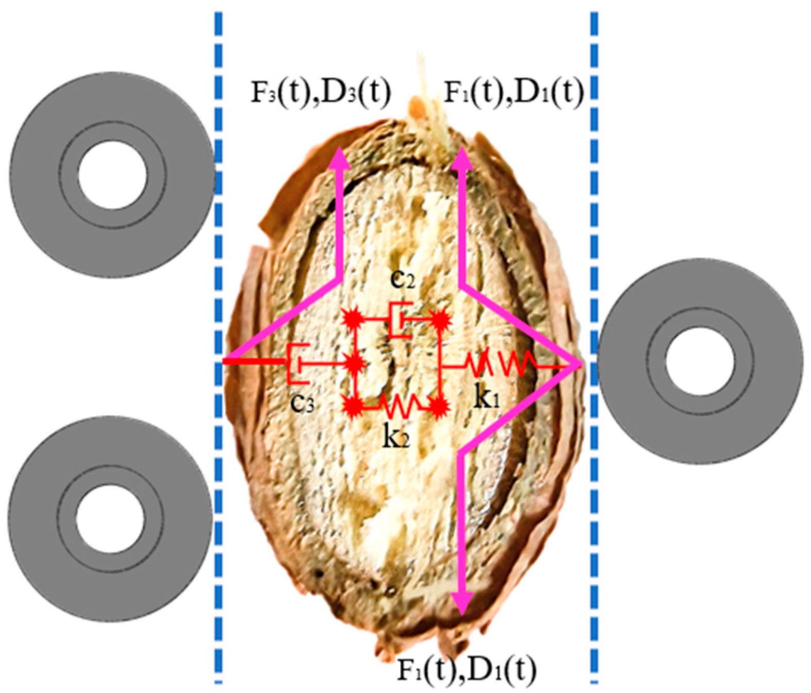 Agriculture 14 00950 g008