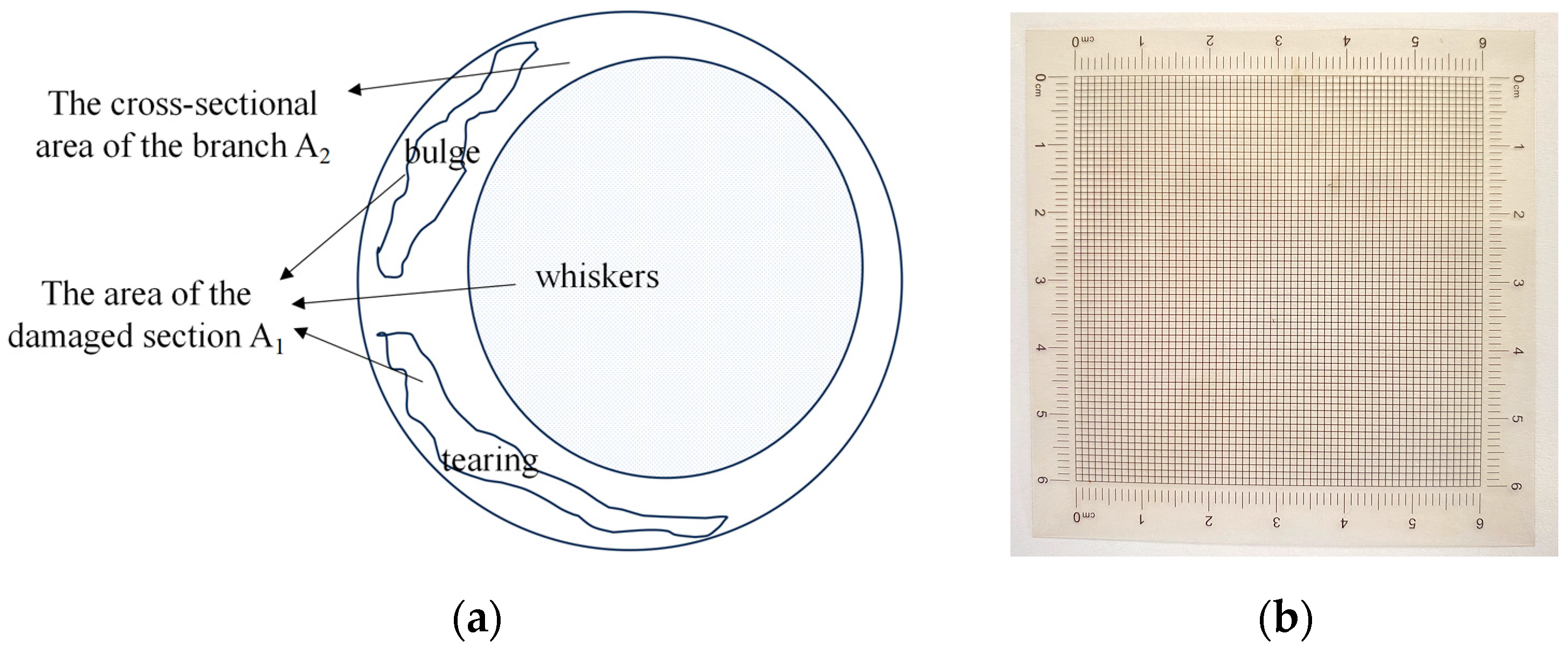 Agriculture 14 00953 g008