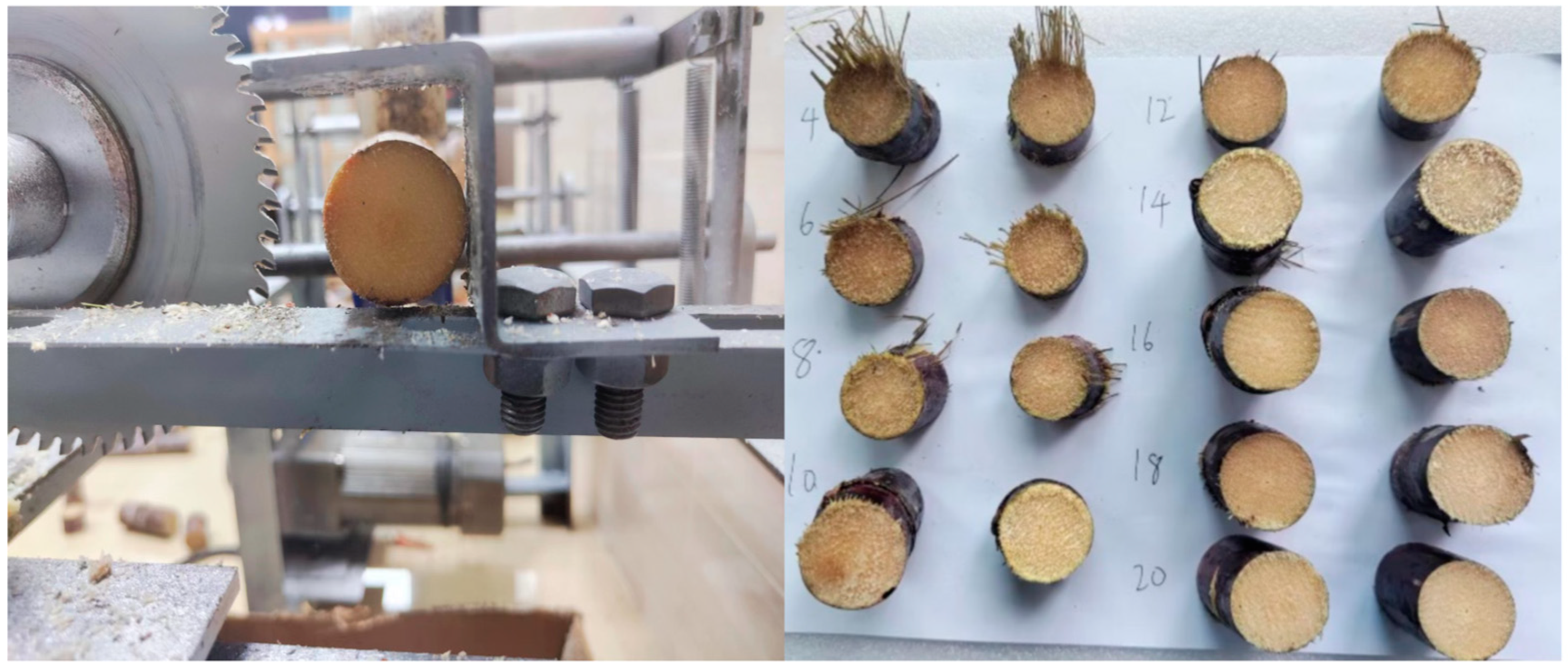 Agriculture 14 00953 g009