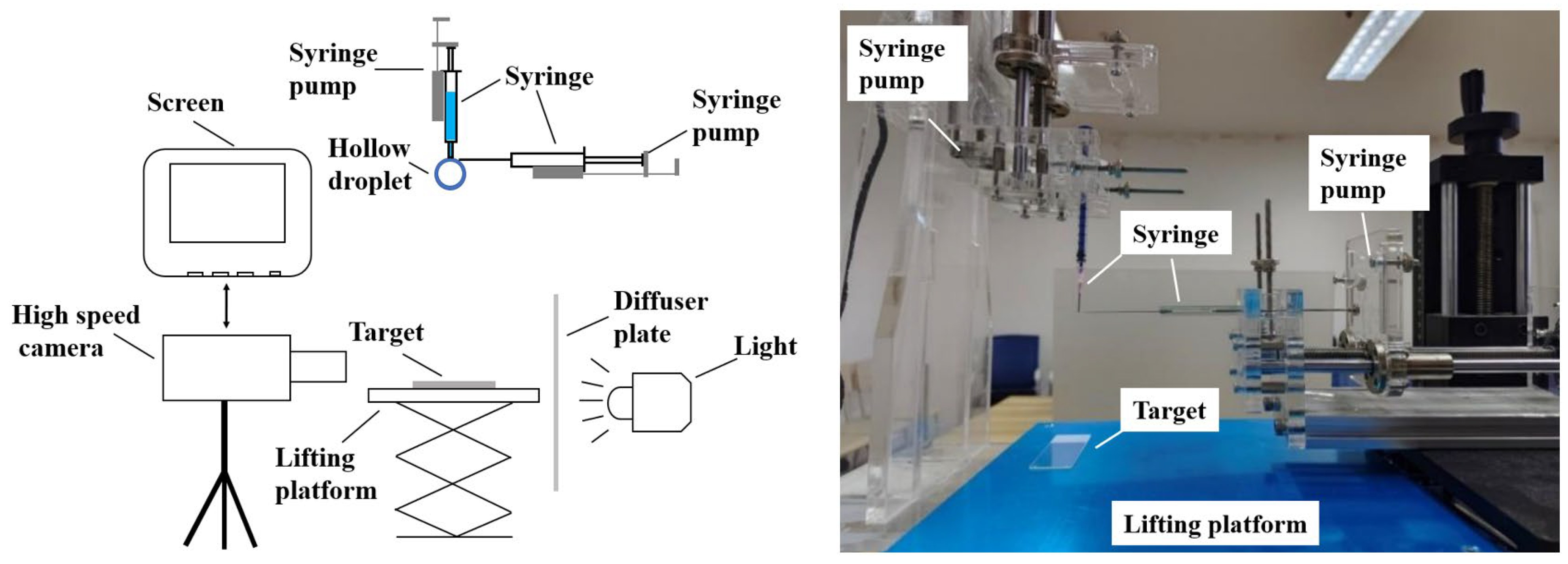 Agriculture 14 00960 g001
