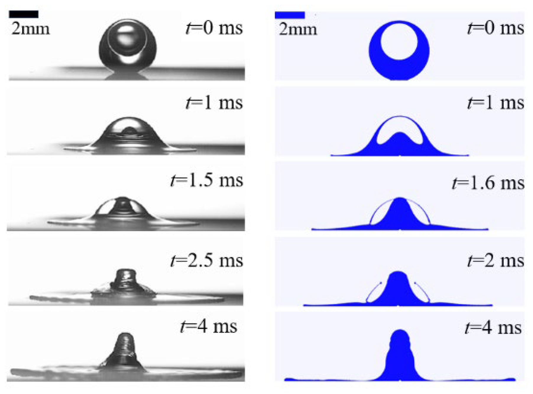 Agriculture 14 00960 g005