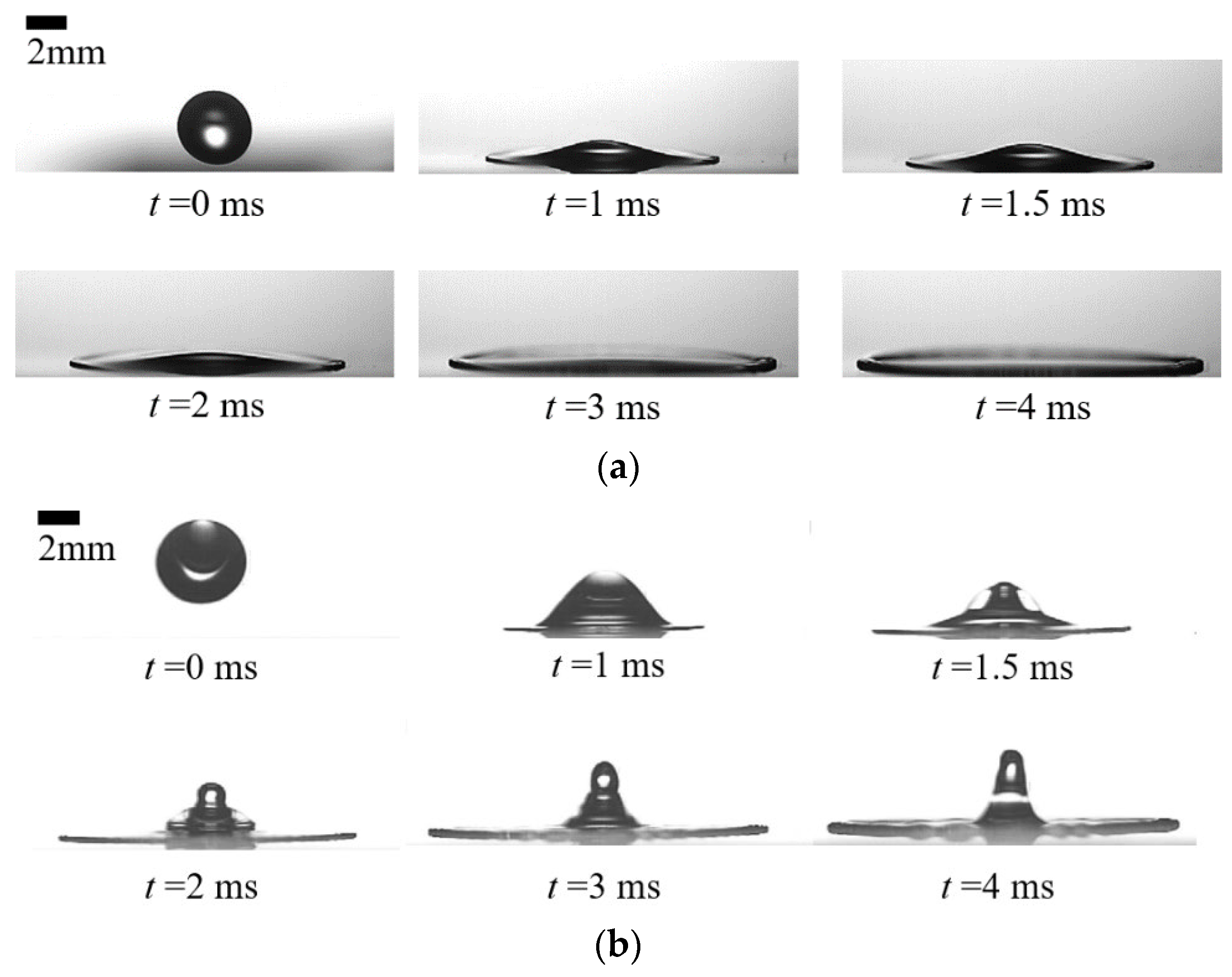 Agriculture 14 00960 g006