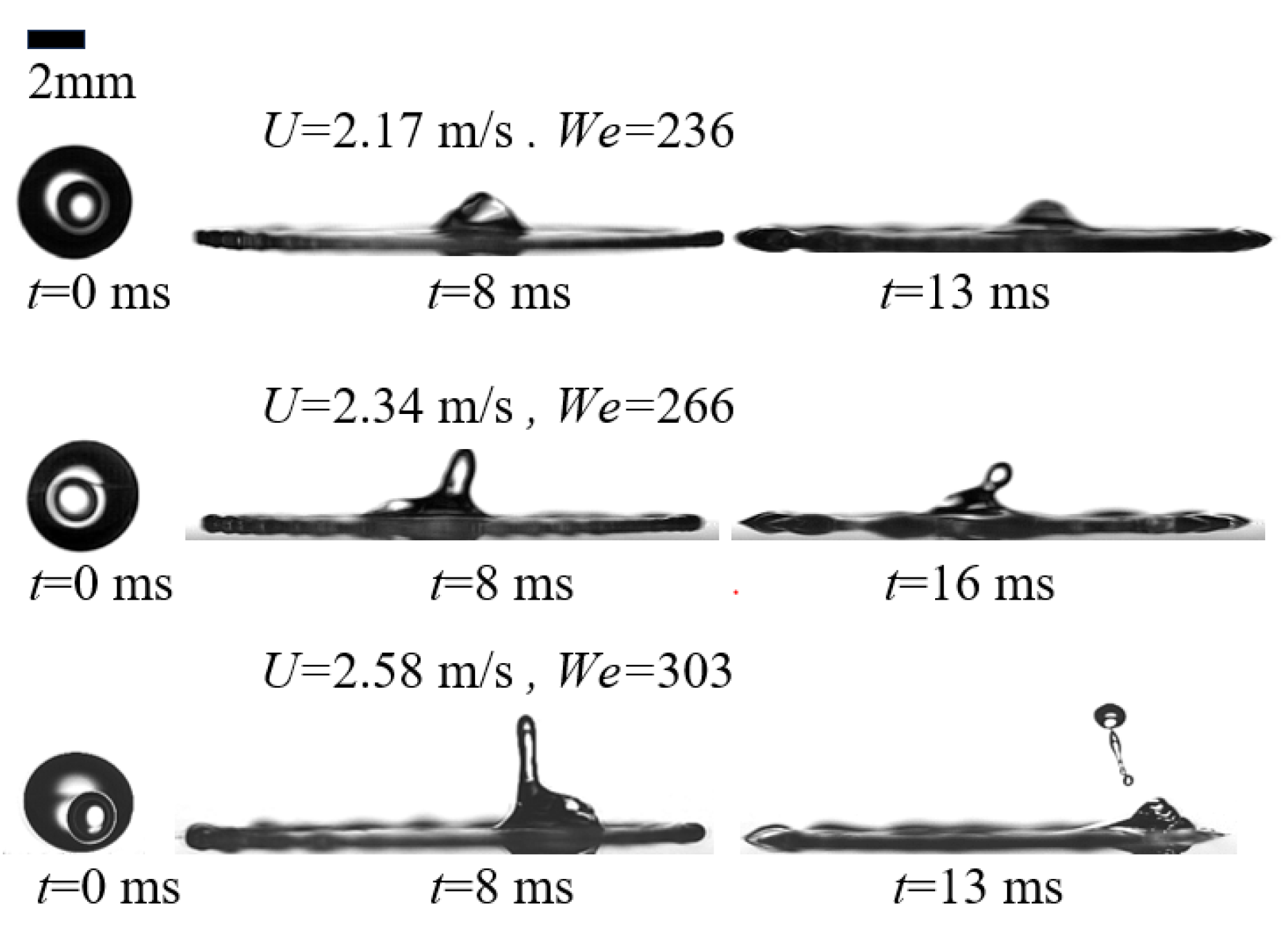 Agriculture 14 00960 g010