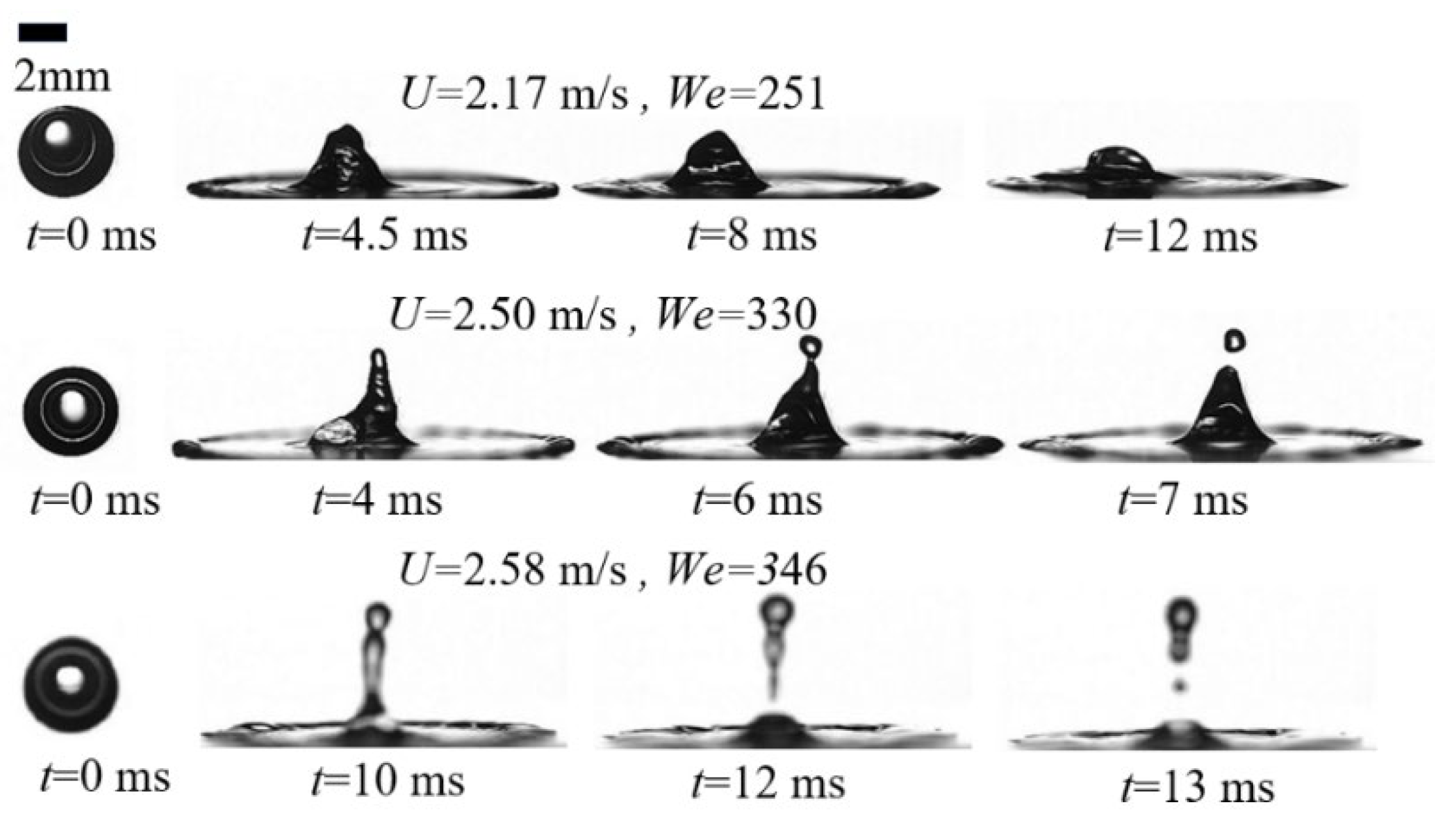 Agriculture 14 00960 g012