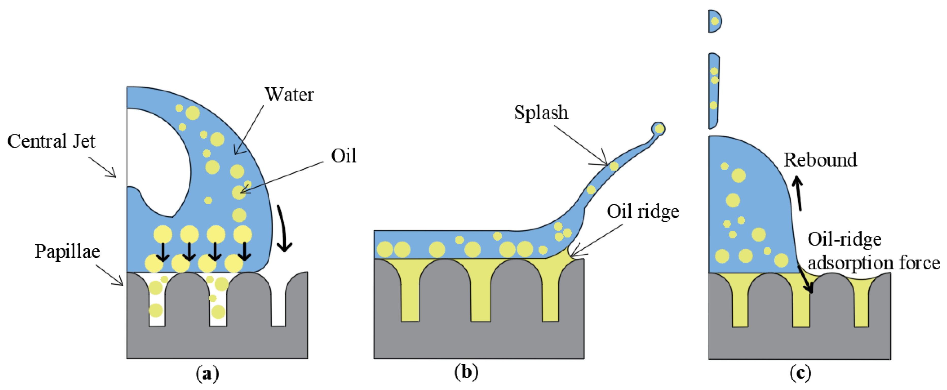 Agriculture 14 00960 g017