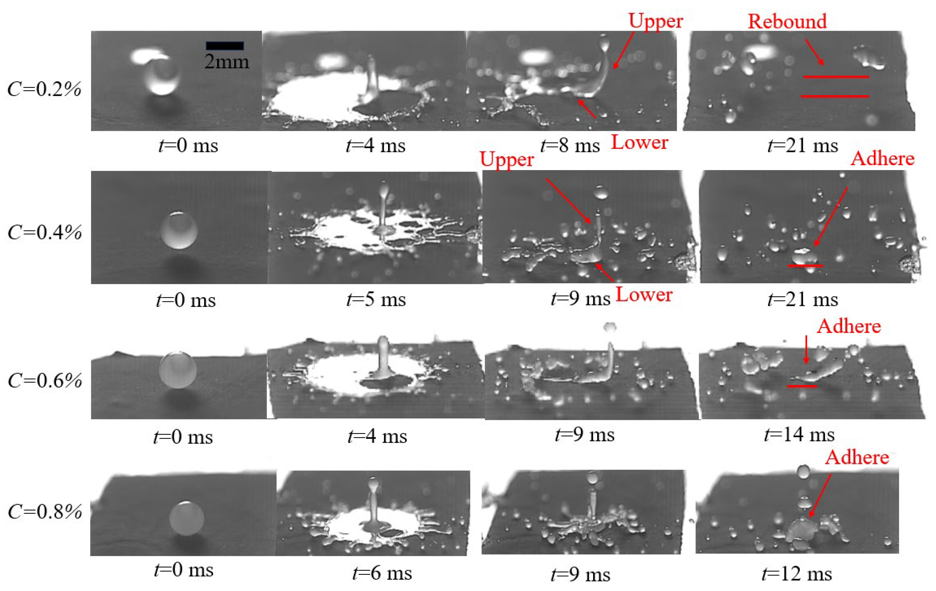 Agriculture 14 00960 g018