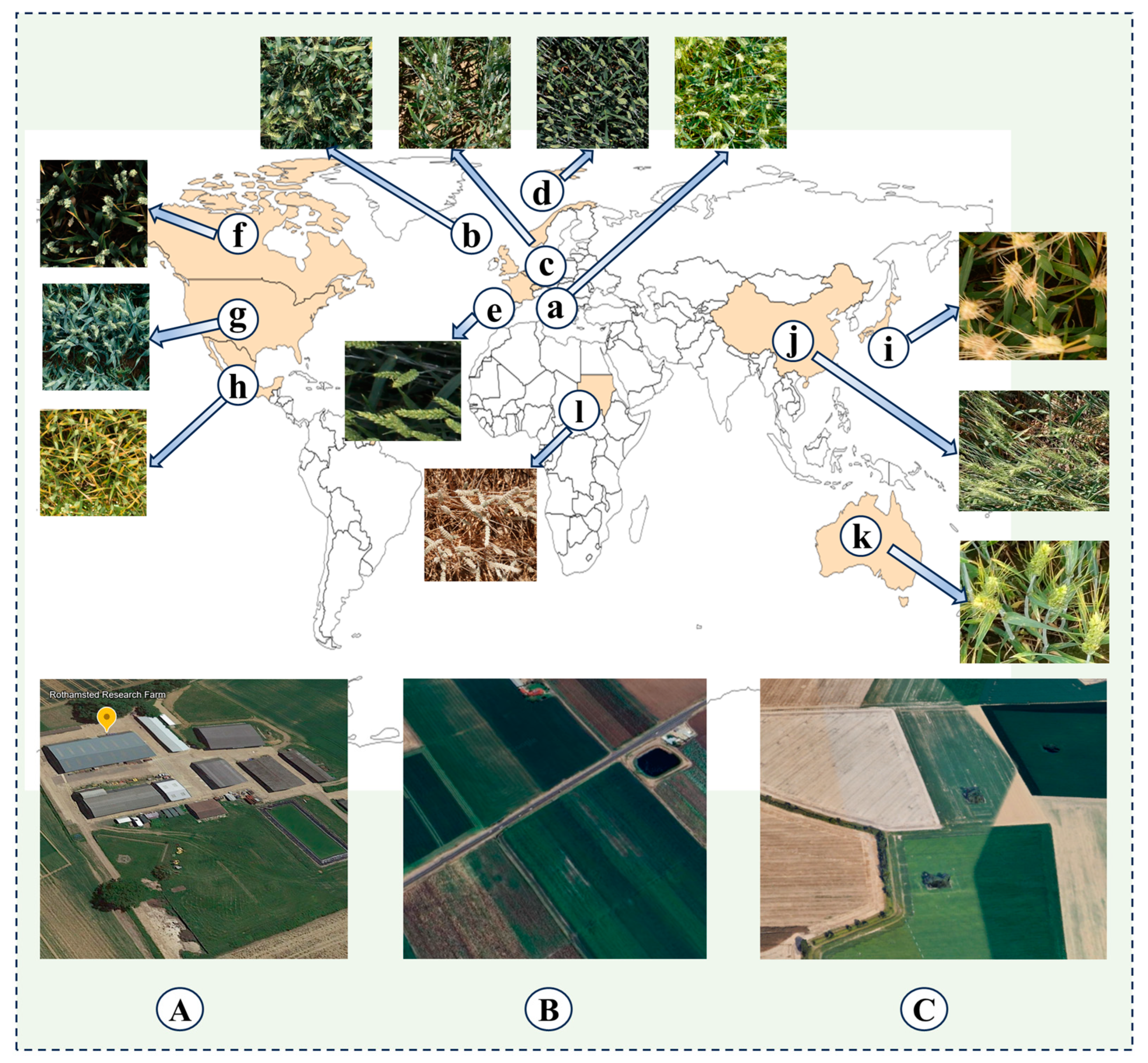 Agriculture 14 00961 g001