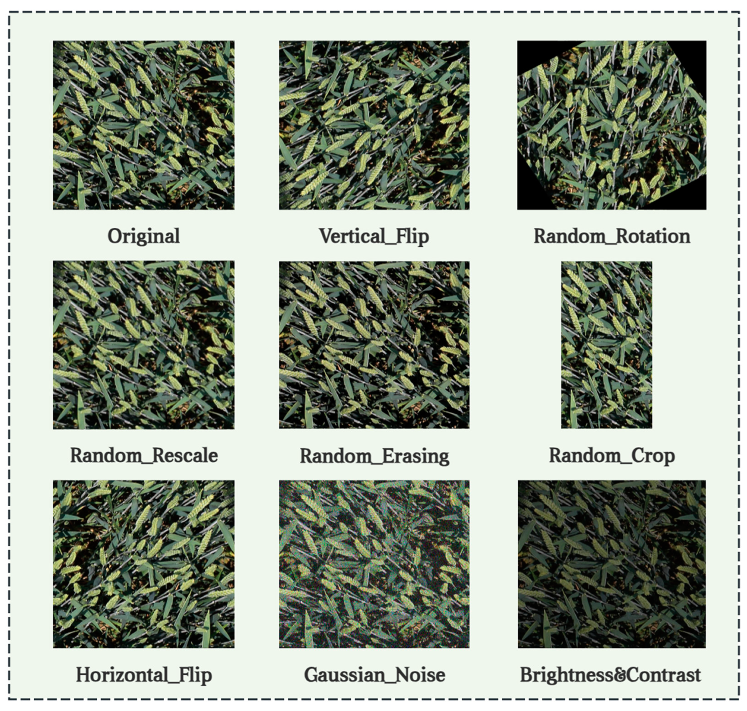 Agriculture 14 00961 g002