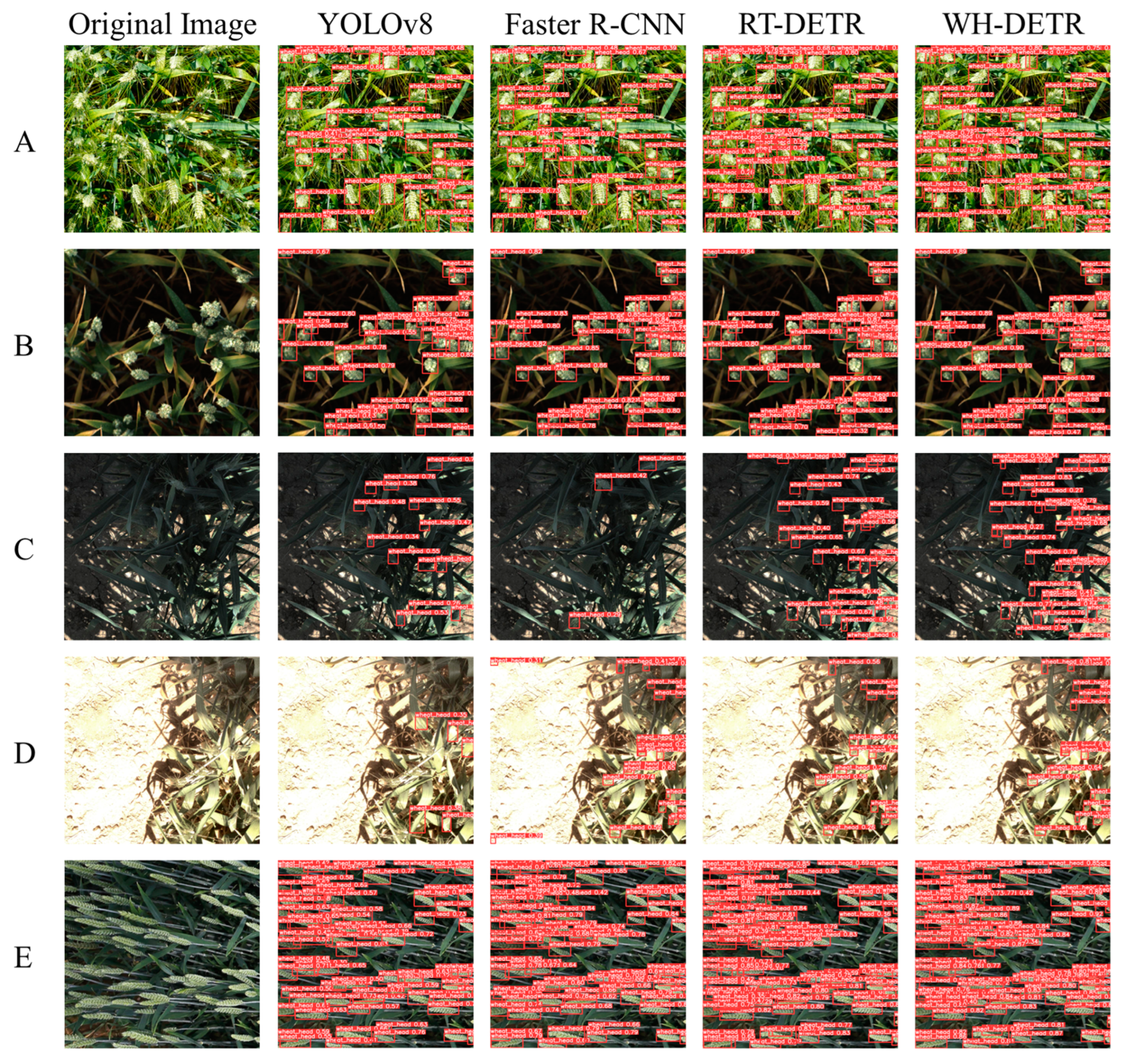 Agriculture 14 00961 g009