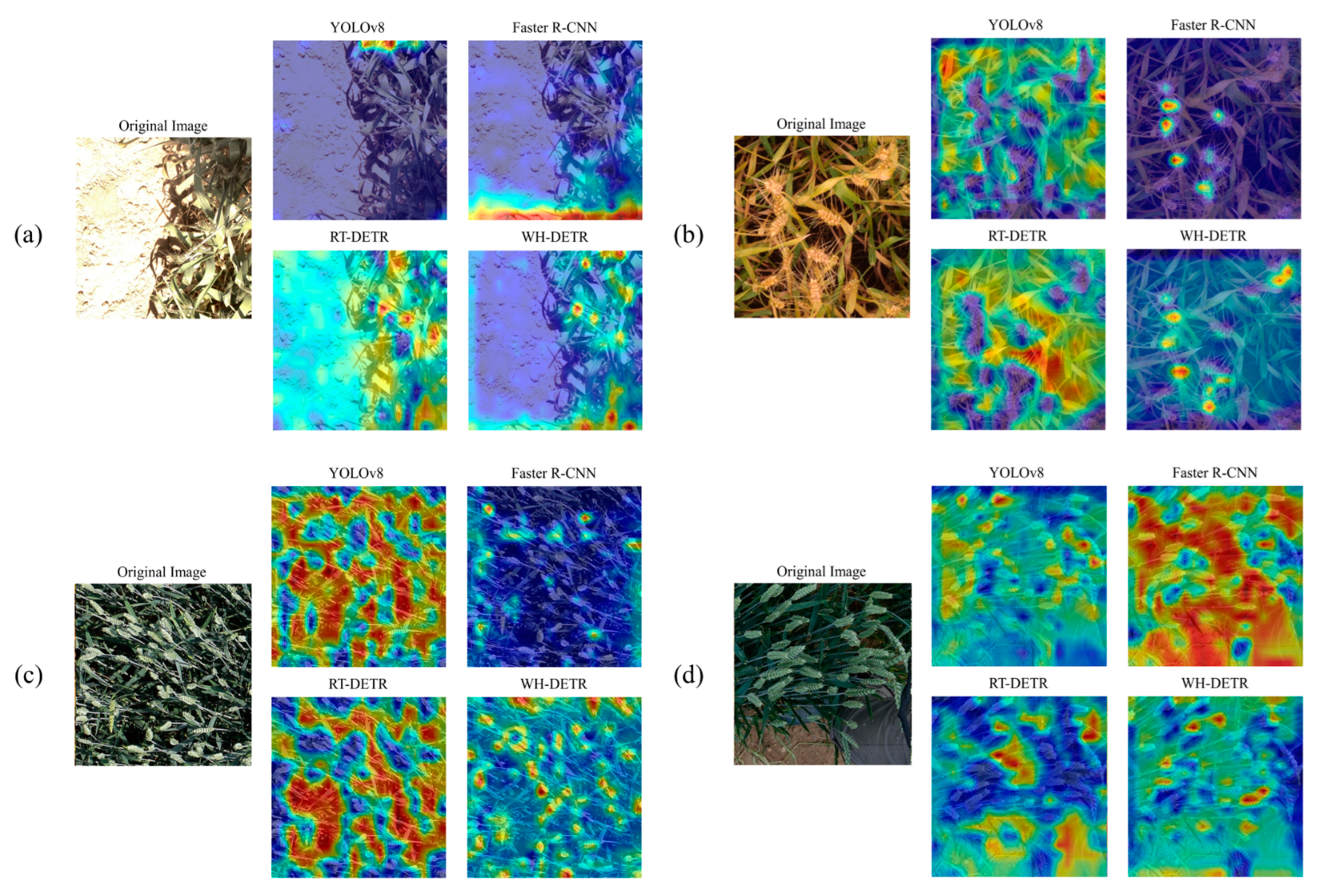 Agriculture 14 00961 g010