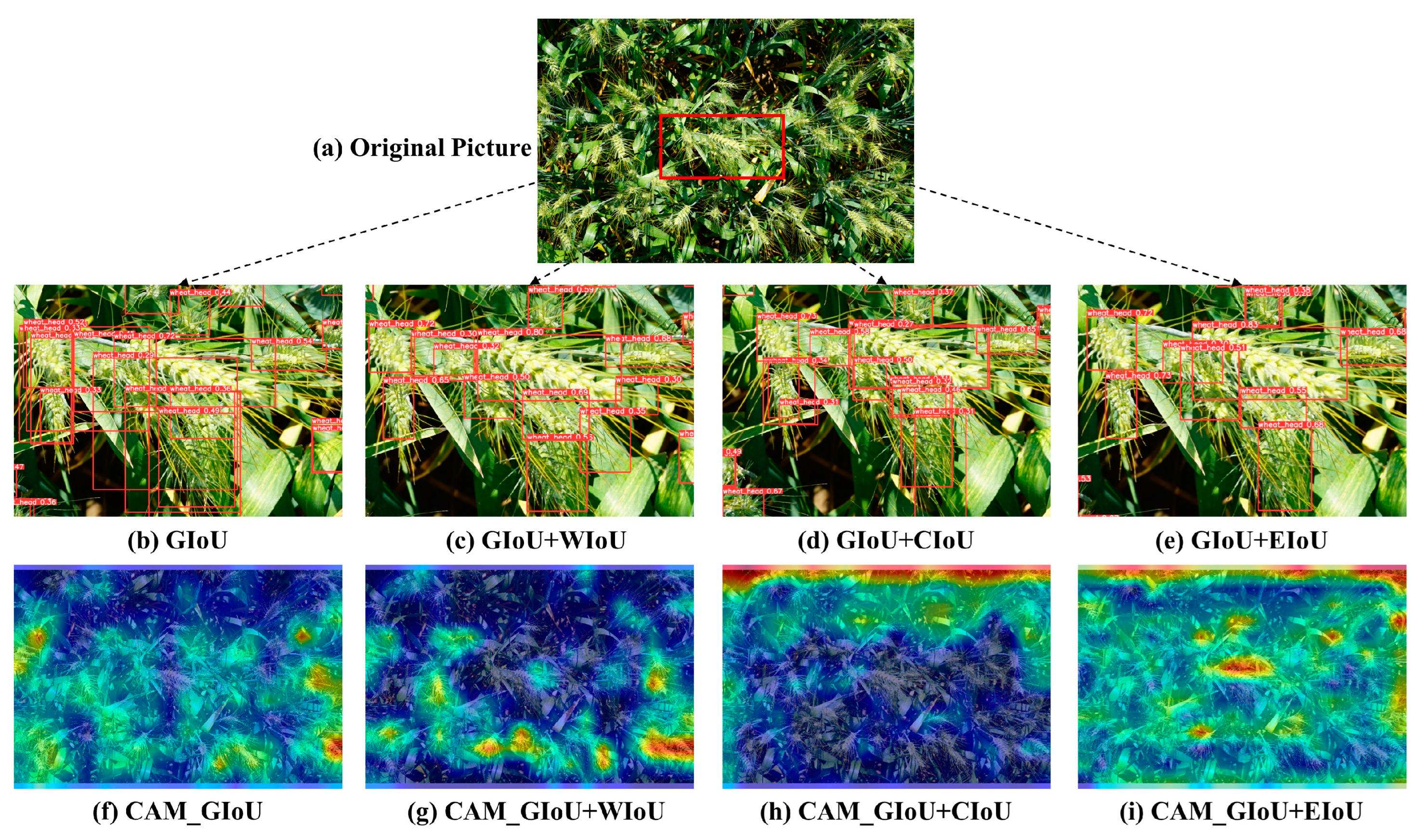 Agriculture 14 00961 g011