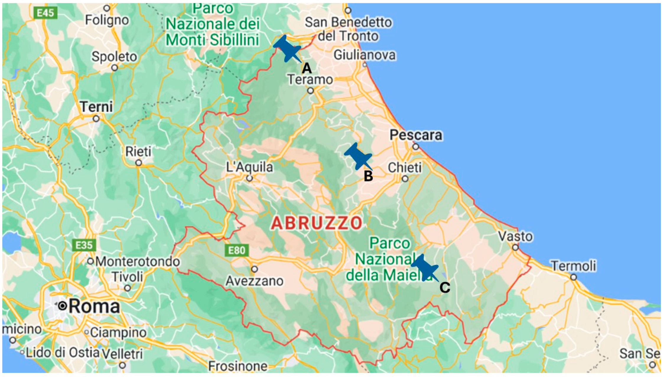 Agriculture 14 00966 g001