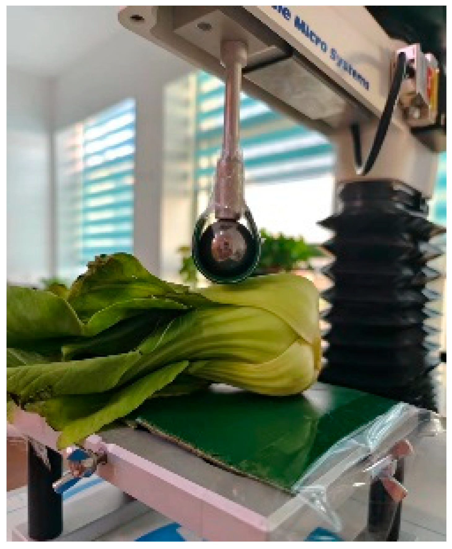 Agriculture 14 00967 g003