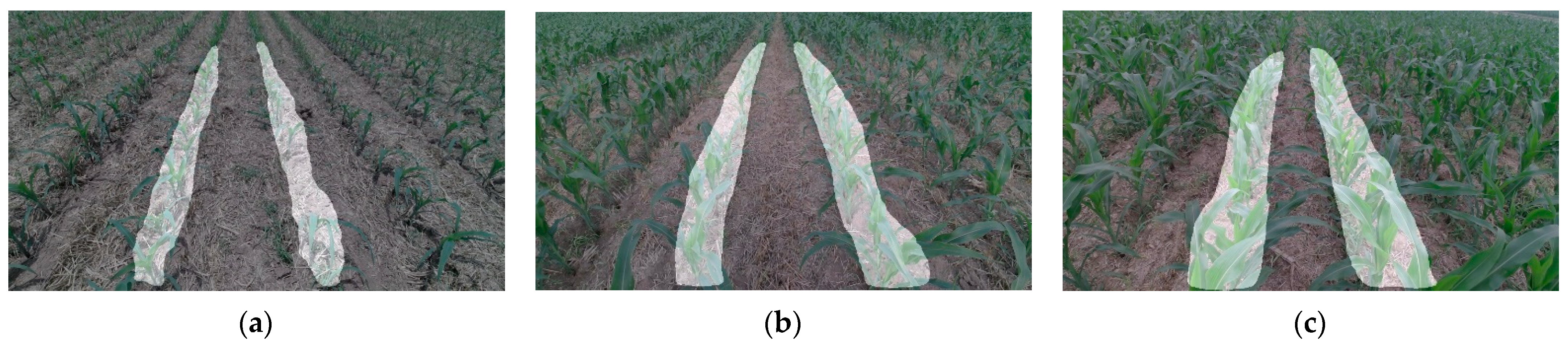 Agriculture 14 00969 g006