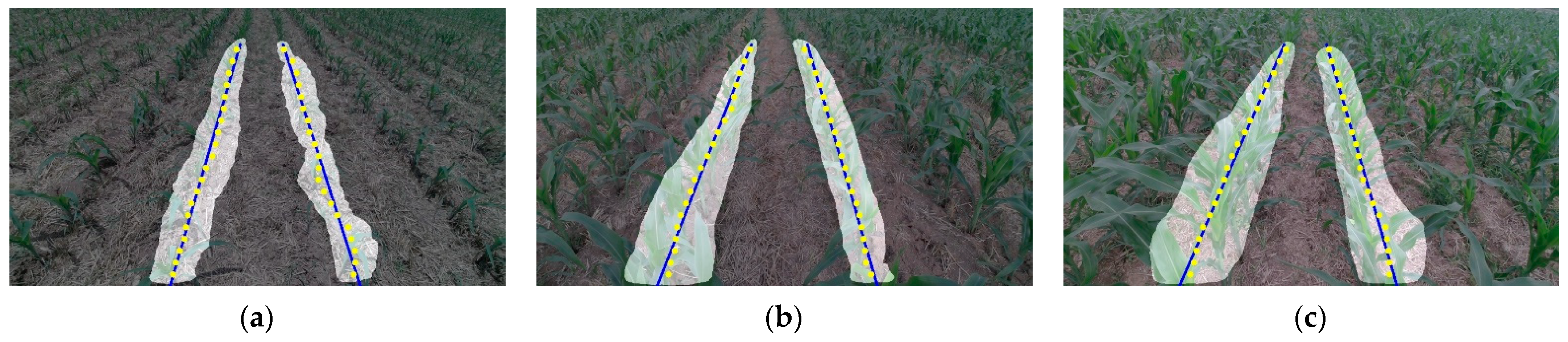 Agriculture 14 00969 g010