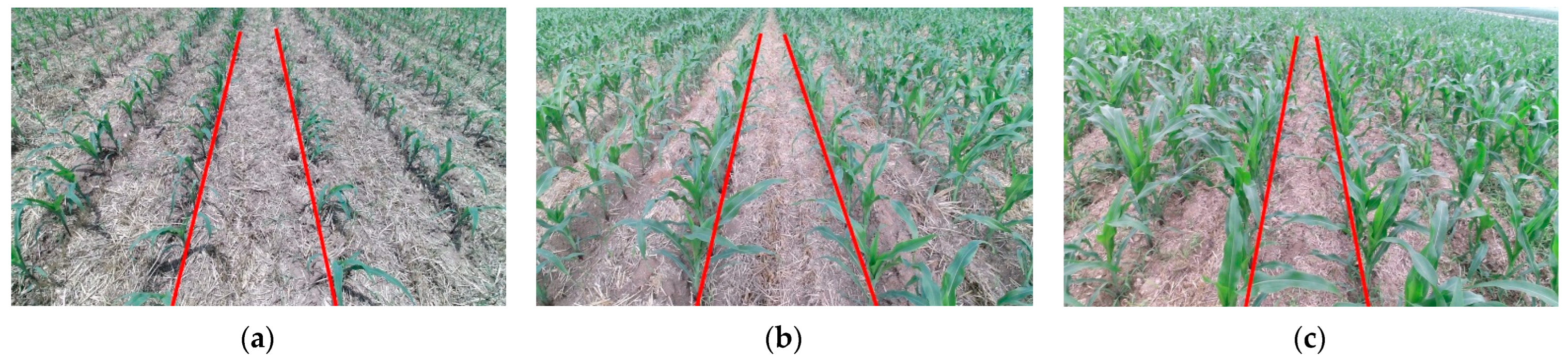 Agriculture 14 00969 g014